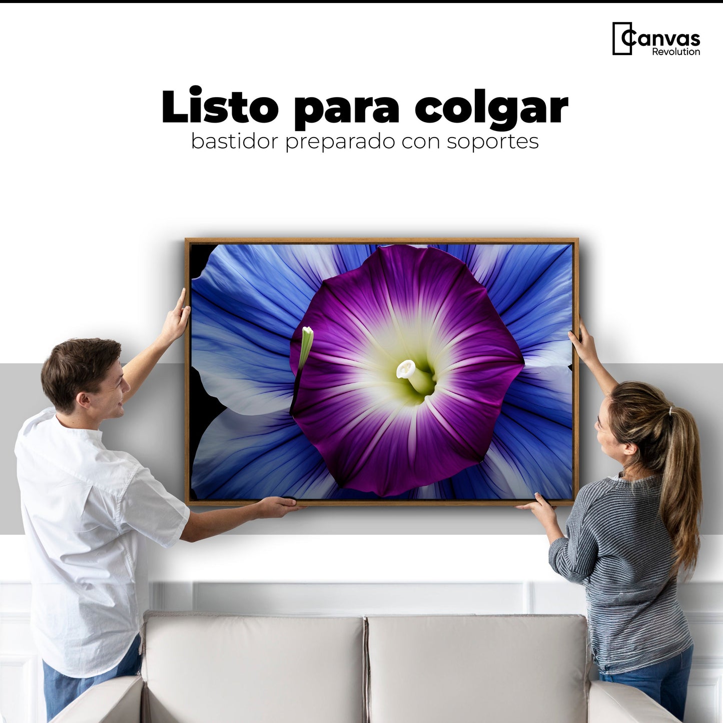 Cuadros Decorativos Canvas Revolution | Fulgor De La Manana | Colgar