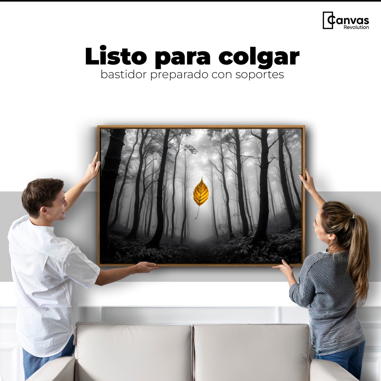 Cuadros Decorativos Canvas Revolution | Hoja En Silencio | Colgar