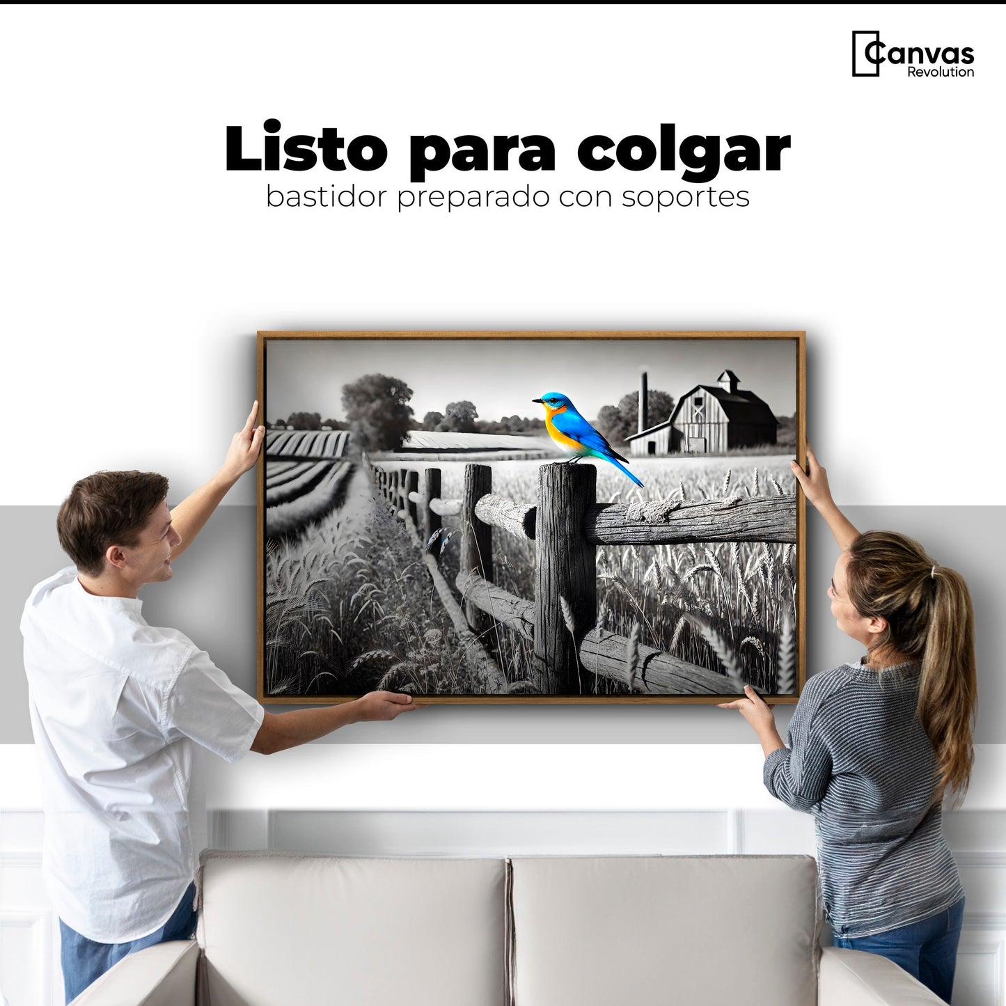 Cuadros Decorativos Canvas Revolution | Pajaro En Reposo | Colgar