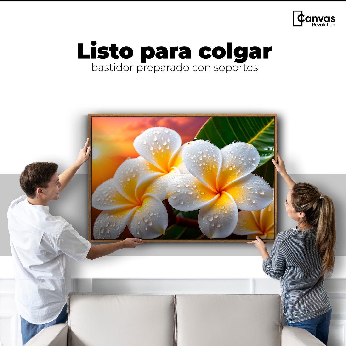 Cuadros Decorativos Canvas Revolution | Plumeria Luz Serena | Colgar