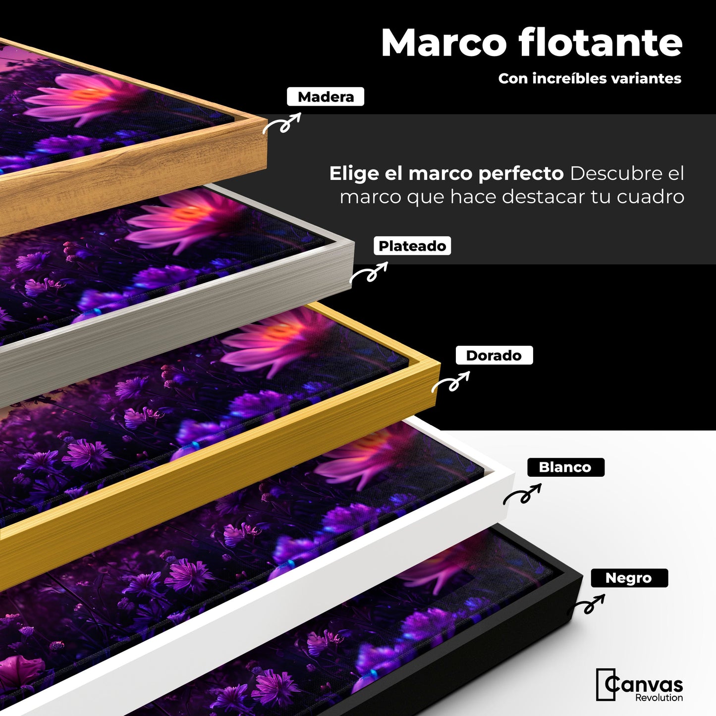 Cuadros Decorativos Canvas Revolution | Alas En El Silencio | ColoresMarco