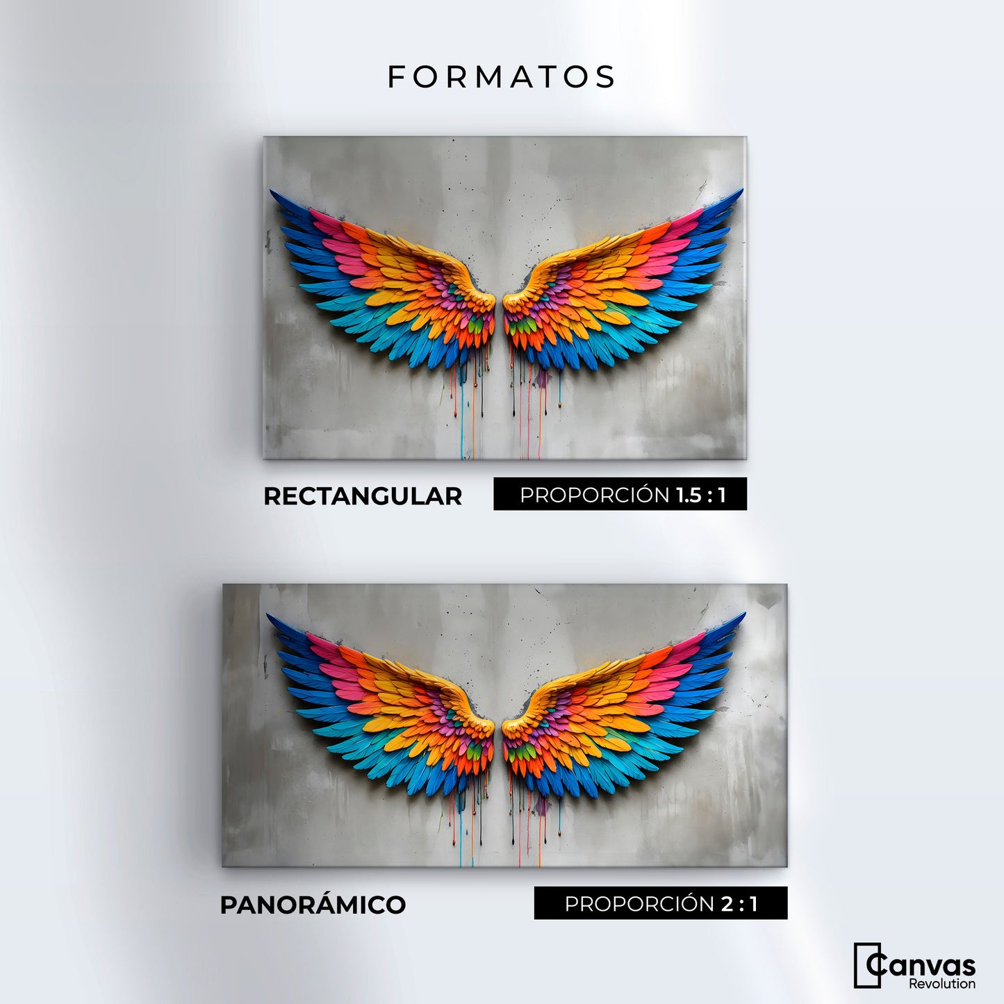 Cuadros Decorativos Canvas Revolution | Alas Angel Arcoiris | Formatos