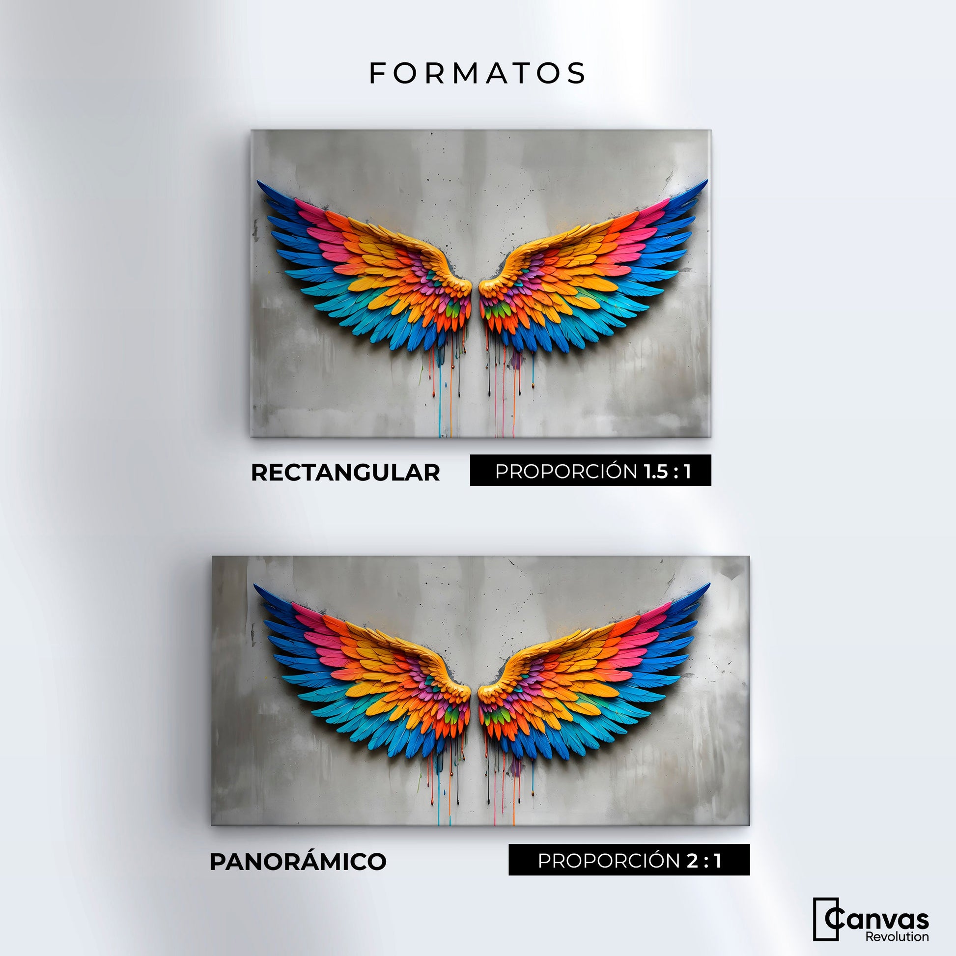 Cuadros Decorativos Canvas Revolution | Alas Angel Arcoiris | Formatos