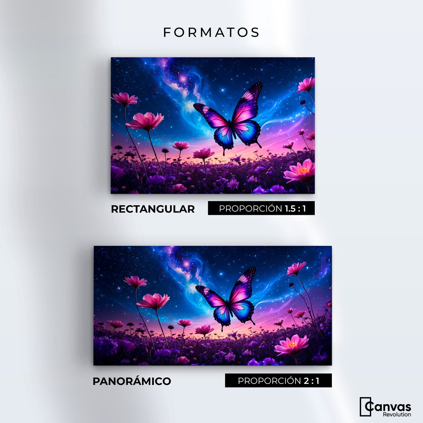 Cuadros Decorativos Canvas Revolution | Alas En El Silencio | Formatos