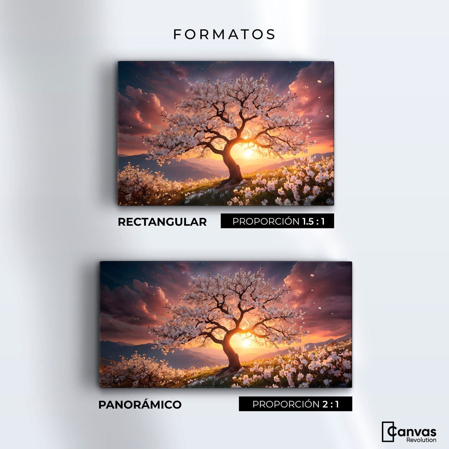 Cuadros Decorativos Canvas Revolution | Calido Resplandor | Formatos