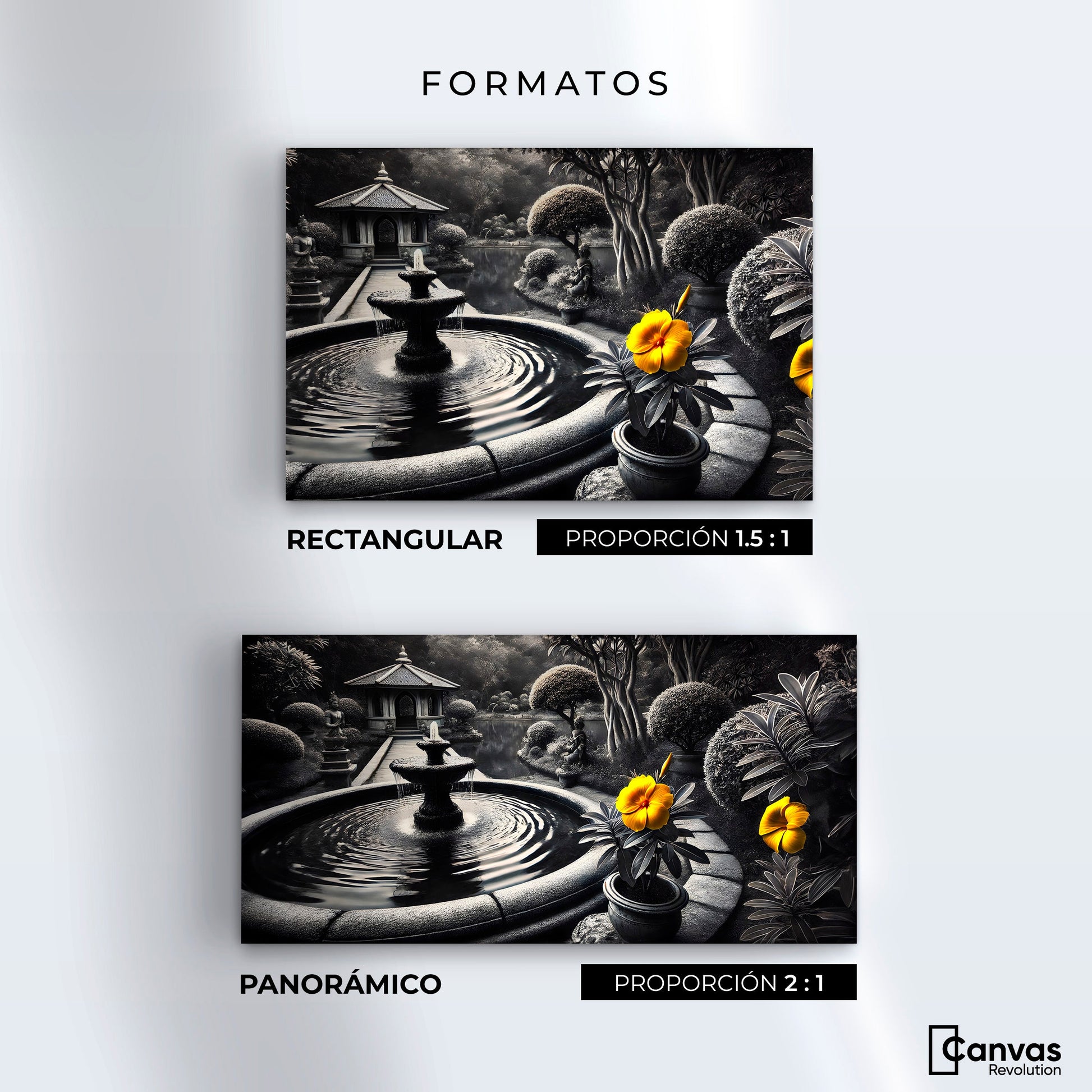 Cuadros Decorativos Canvas Revolution | Florecer Y Fluir | Formatos