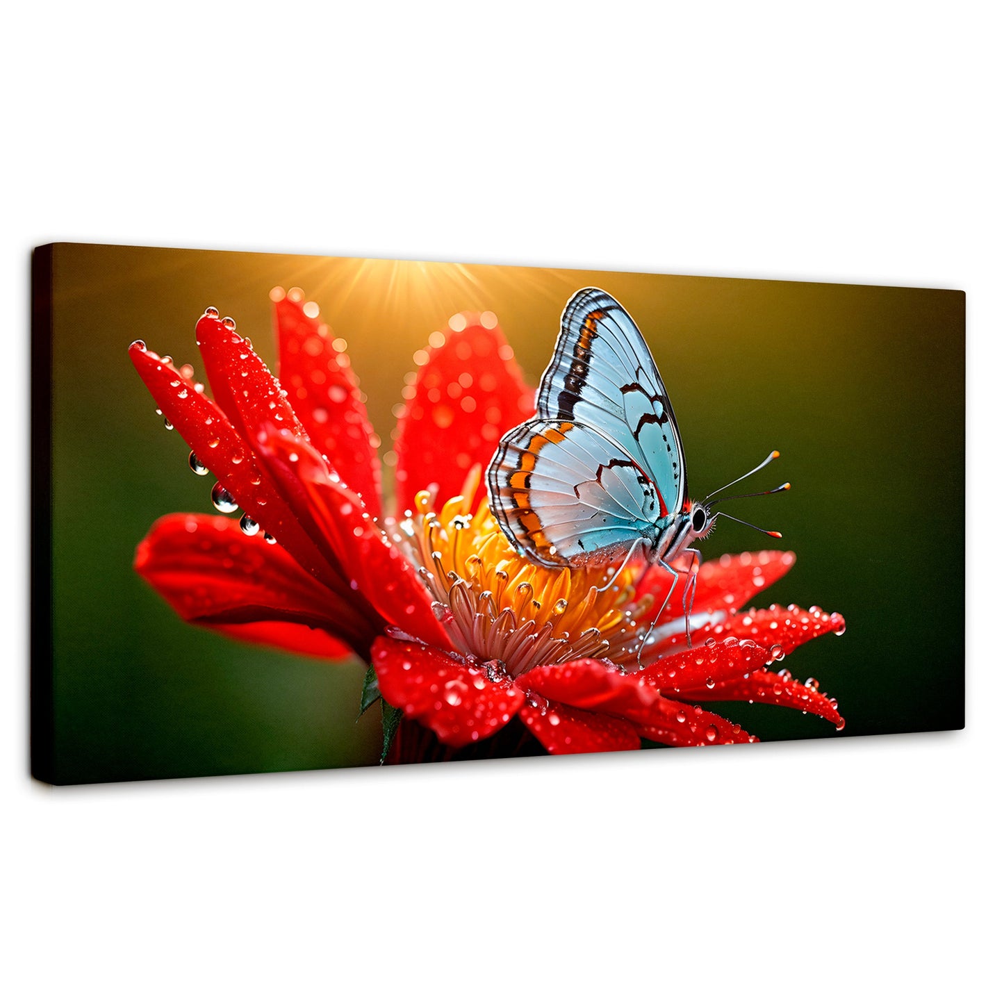 Cuadros Decorativos Canvas Revolution | Alas Sobre Flor | Panoramico | Portada | Marco SinMarco