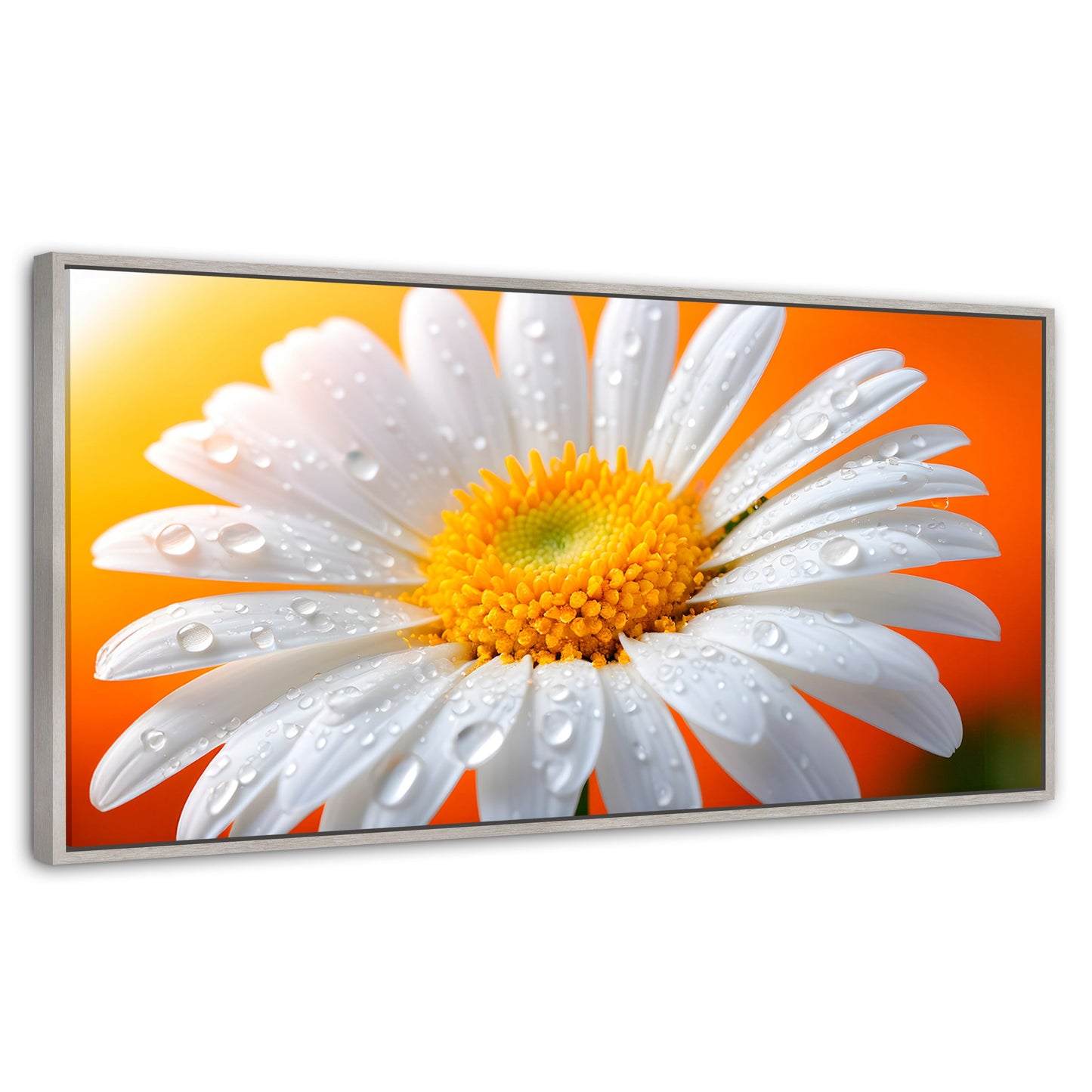 Cuadros Decorativos Canvas Revolution | Aura De Margarita | Panoramico | Portada | Marco Plateado
