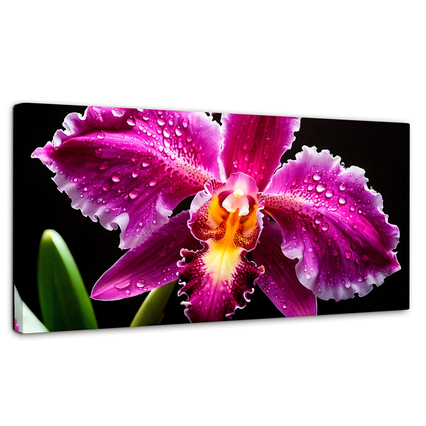 Cuadros Decorativos Canvas Revolution | Brillo De Cattleya | Panoramico | Portada | Marco SinMarco