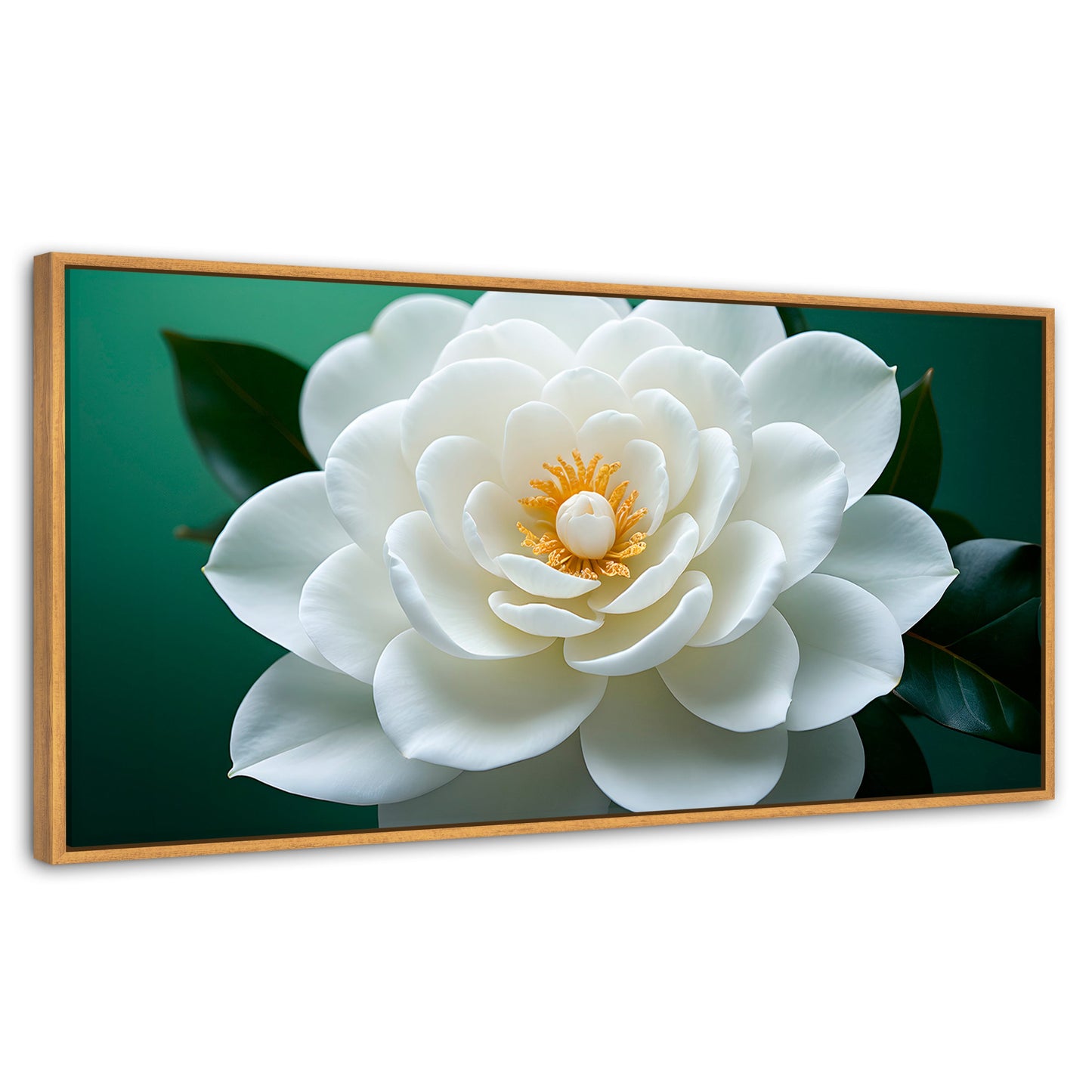 Cuadros Decorativos Canvas Revolution | Camelia Eterna Flor | Panoramico | Portada | Marco Madera