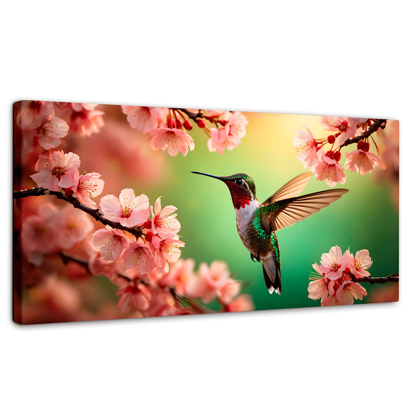 Cuadros Decorativos Canvas Revolution | Colibri Danza Flor | Panoramico | Portada | Marco SinMarco