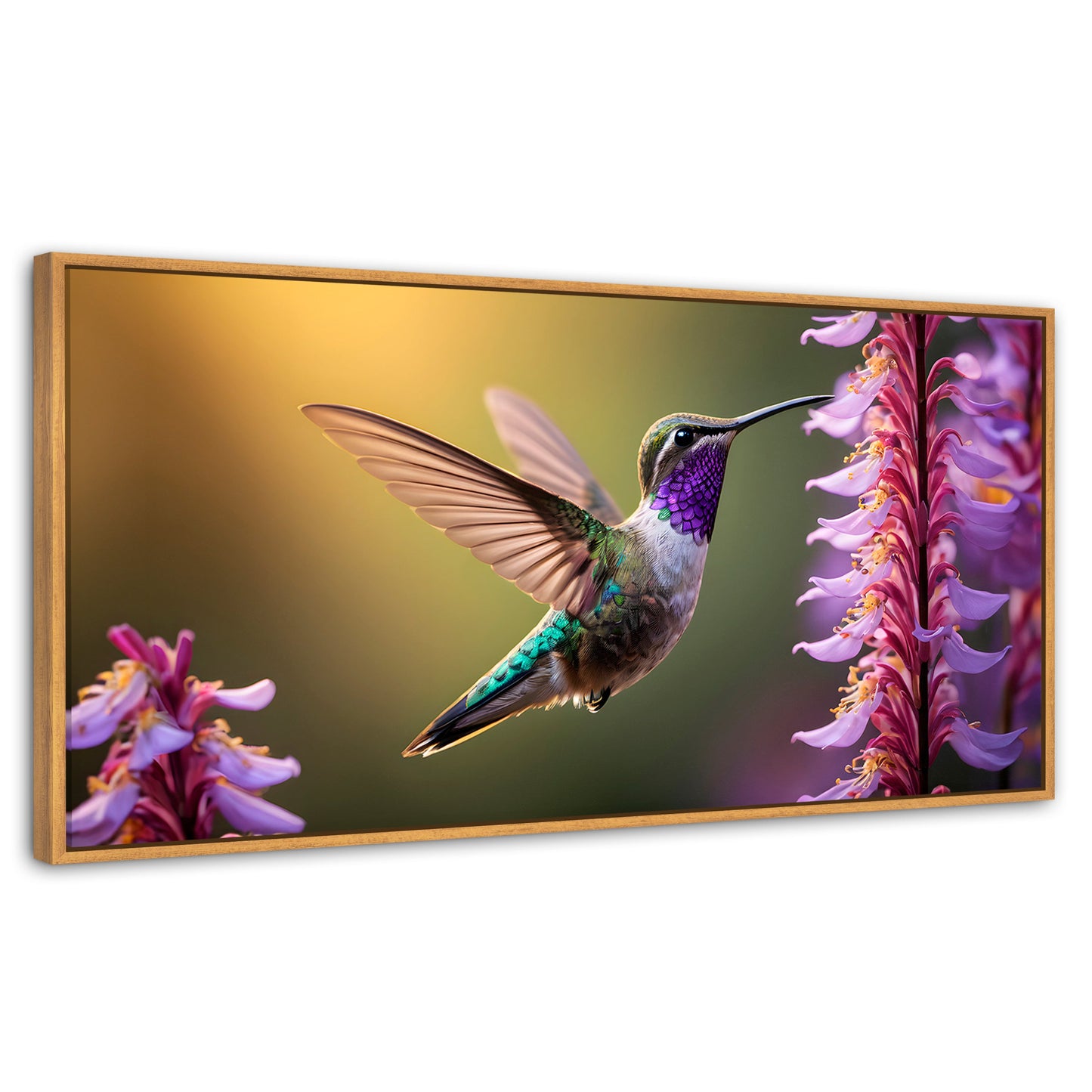 Cuadros Decorativos Canvas Revolution | Colibri Elegante | Panoramico | Portada | Marco Negro