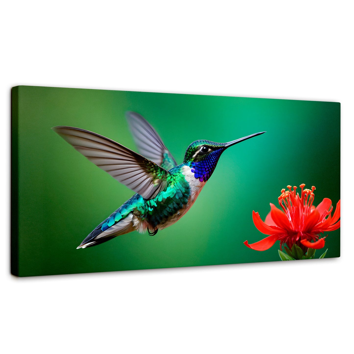 Cuadros Decorativos Canvas Revolution | Colibri En Rocio | Panoramico | Portada | Marco SinMarco