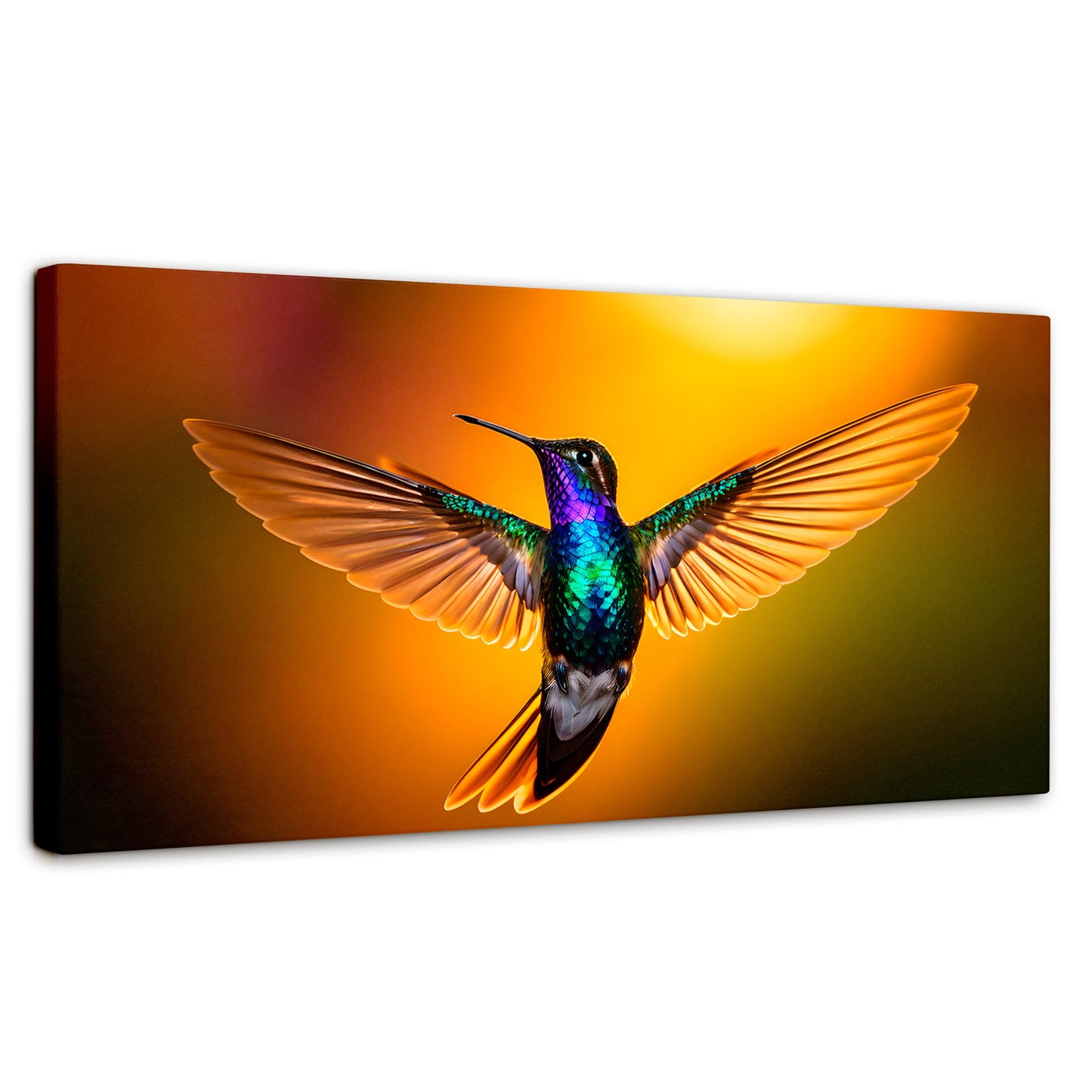 Cuadros Decorativos Canvas Revolution | Colibri Encantado | Panoramico | Portada | Marco SinMarco