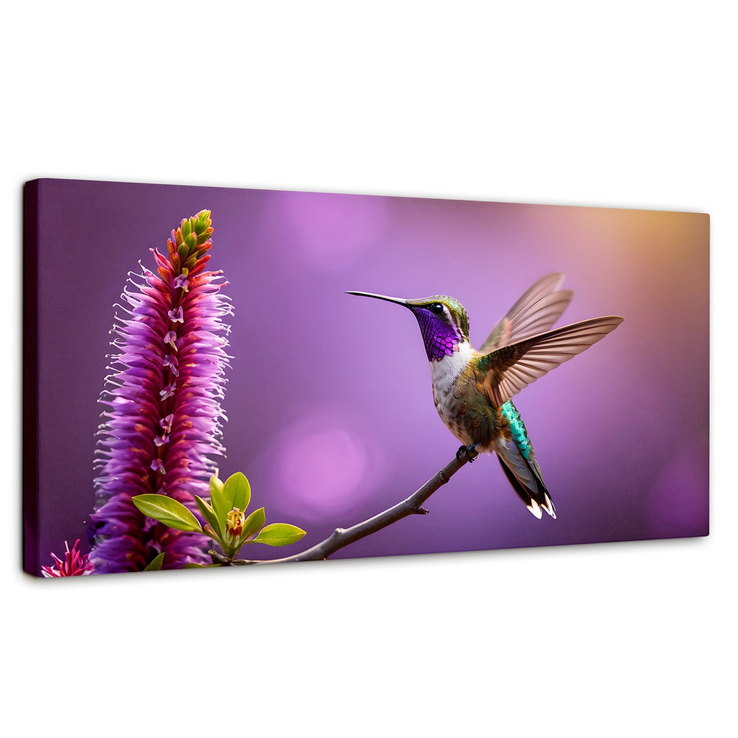 Cuadros Decorativos Canvas Revolution | Colibri Floresta | Panoramico | Portada | Marco SinMarco