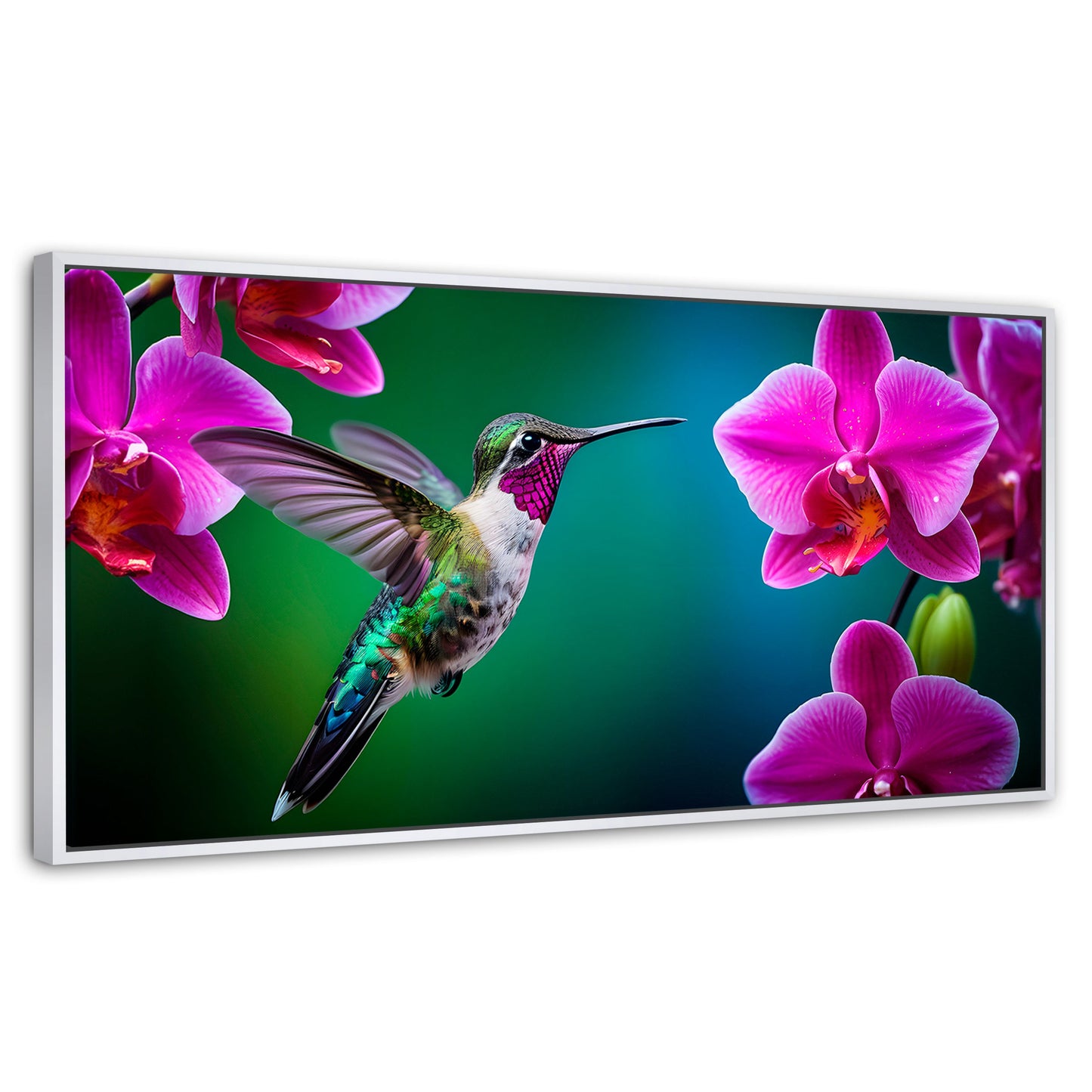 Cuadros Decorativos Canvas Revolution | Colibri Melodioso | Panoramico | Portada | Marco Dorado