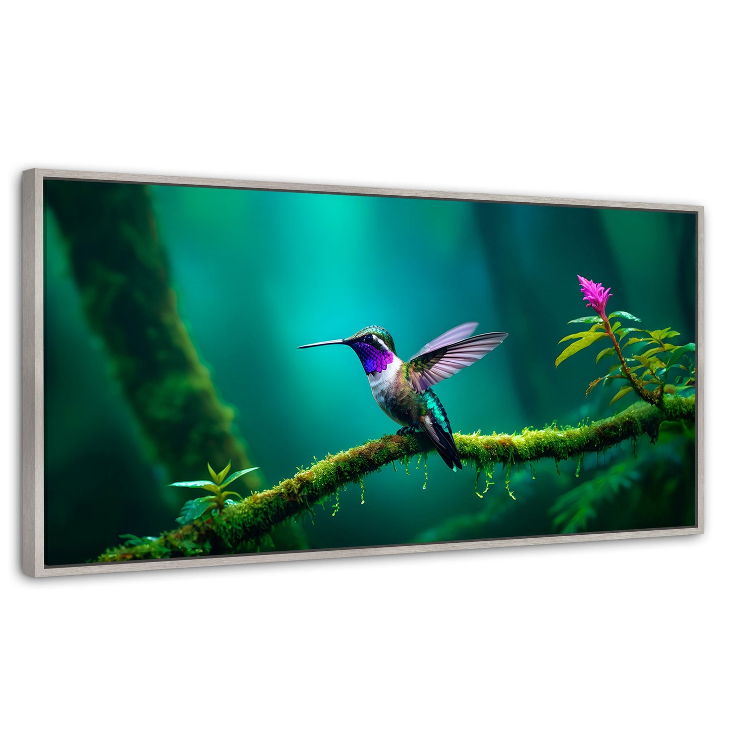 Cuadros Decorativos Canvas Revolution | Colibri Selvatico | Panoramico | Portada | Marco Blanco