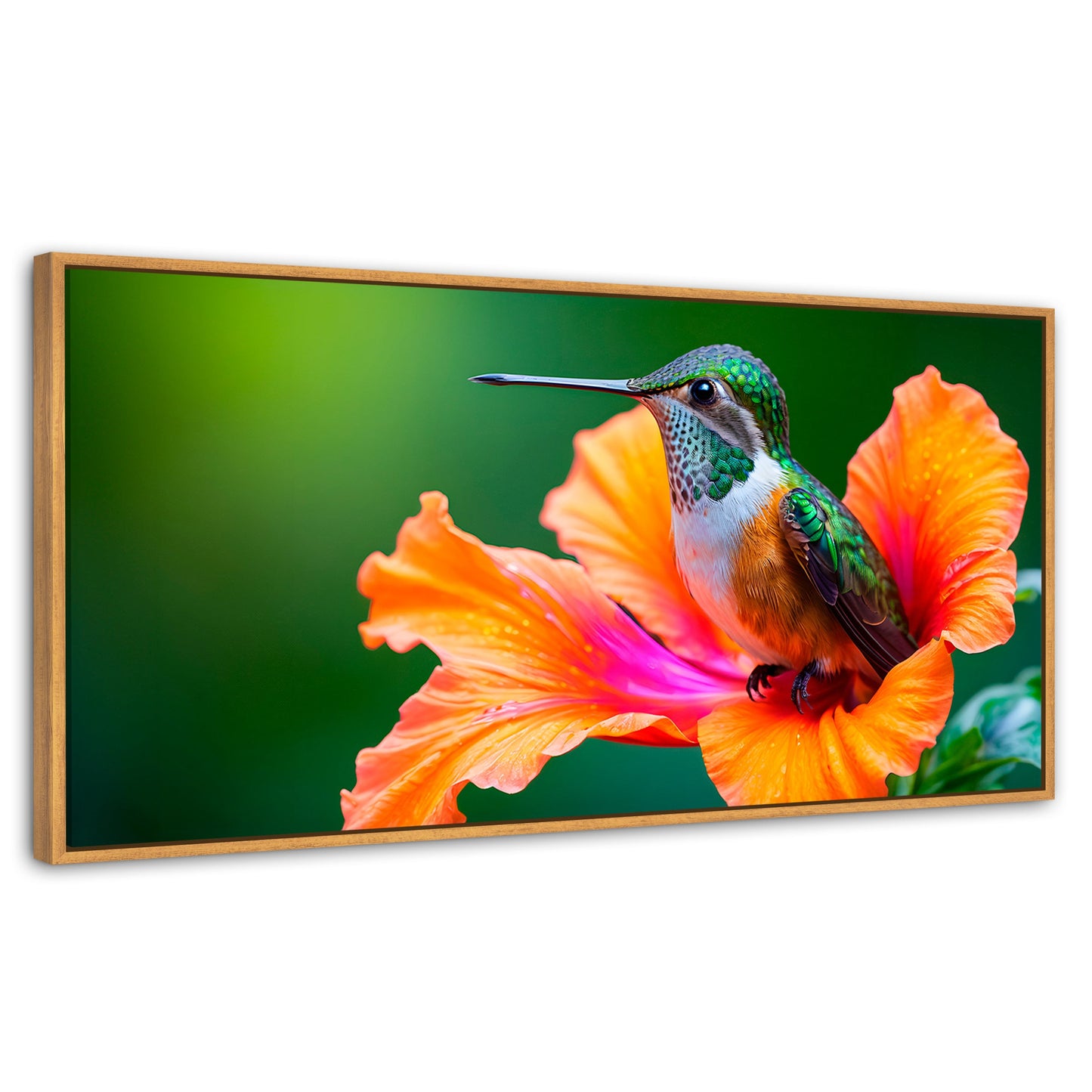 Cuadros Decorativos Canvas Revolution | Colibri Serenidad | Panoramico | Portada | Marco Negro