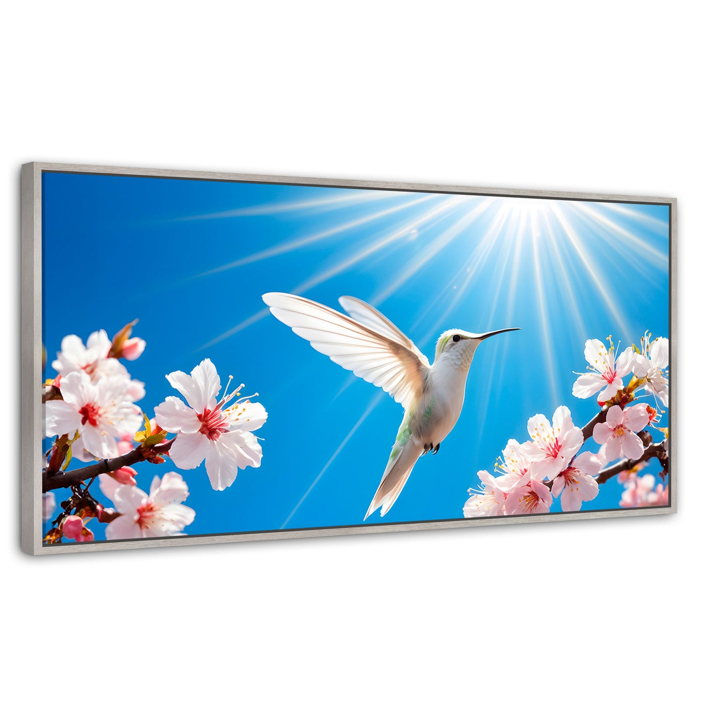 Cuadros Decorativos Canvas Revolution | Colibri Y Sol | Panoramico | Portada | Marco Blanco