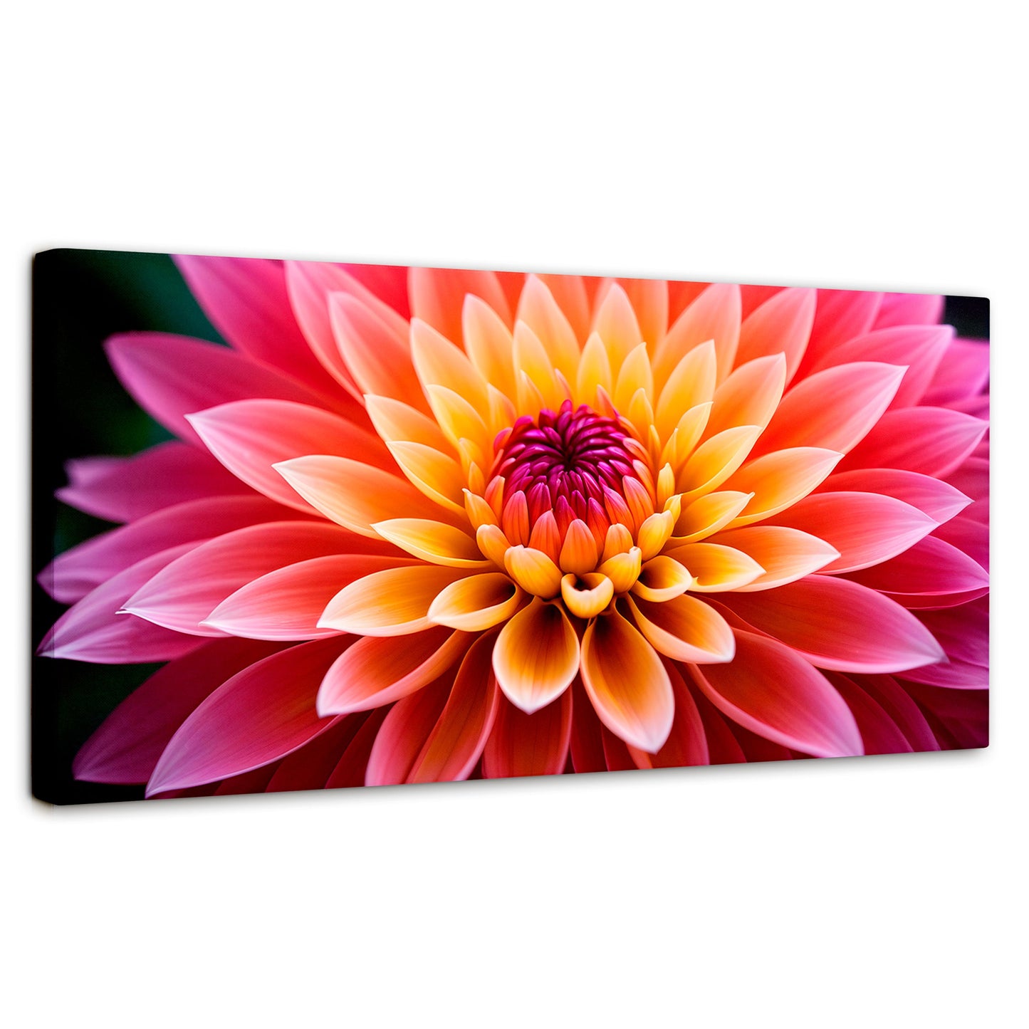 Cuadros Decorativos Canvas Revolution | Dahlia Vibrante | Panoramico | Portada | Marco SinMarco