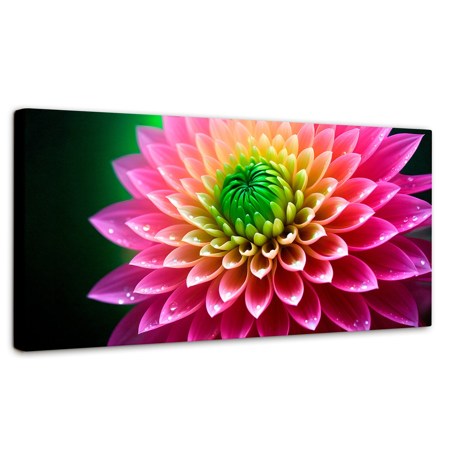 Cuadros Decorativos Canvas Revolution | Dalia Brillo Vivo | Panoramico | Portada