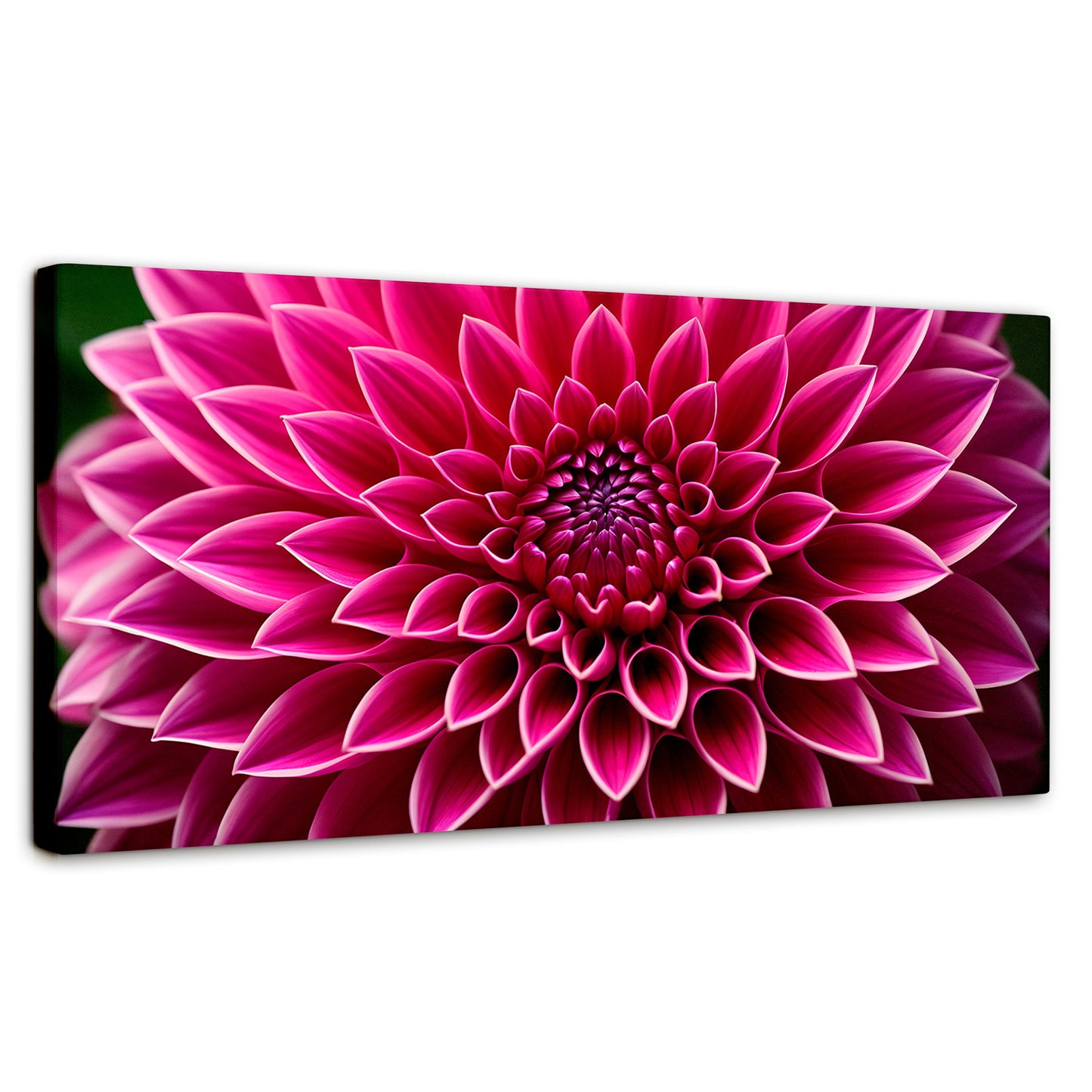 Cuadros Decorativos Canvas Revolution | Dalia Magenta Flor | Panoramico | Portada | Marco SinMarco