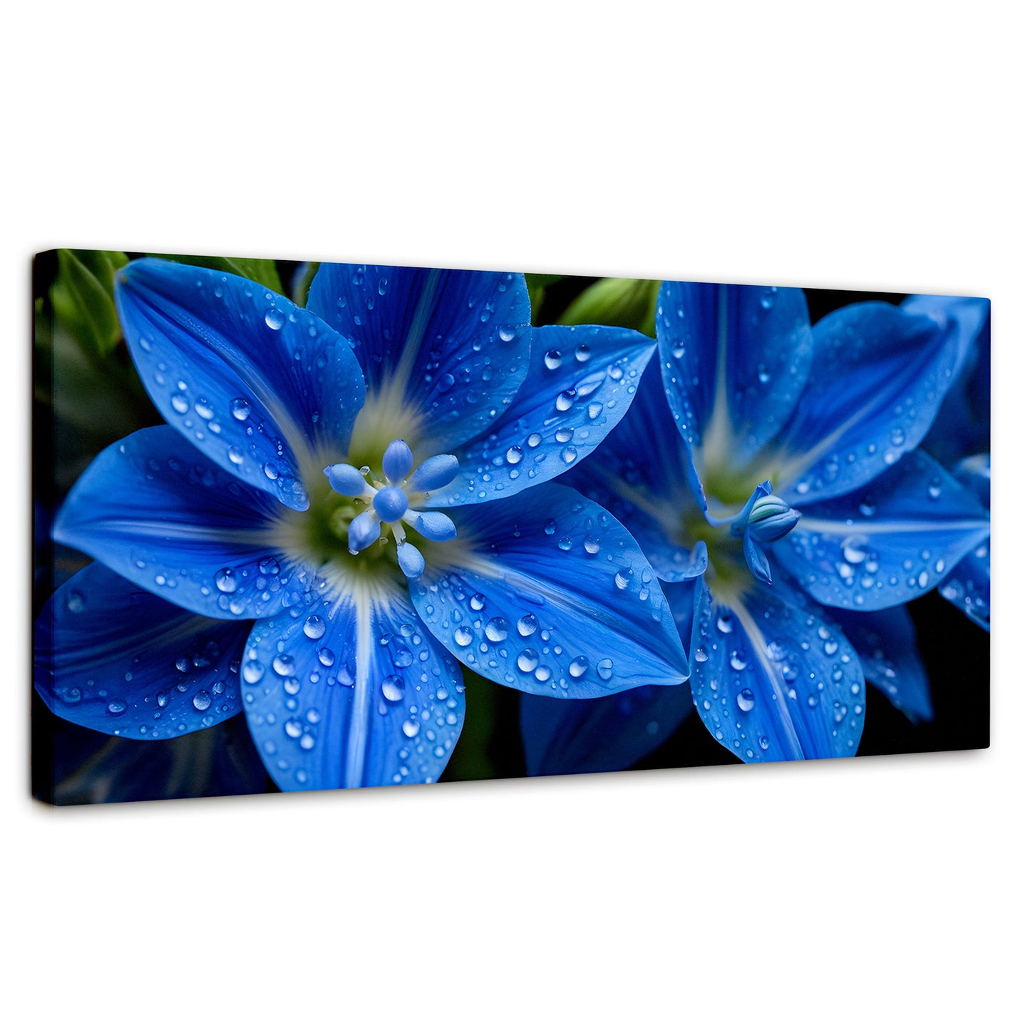 Cuadros Decorativos Canvas Revolution | Delphinium Azul | Panoramico | Portada | Marco SinMarco