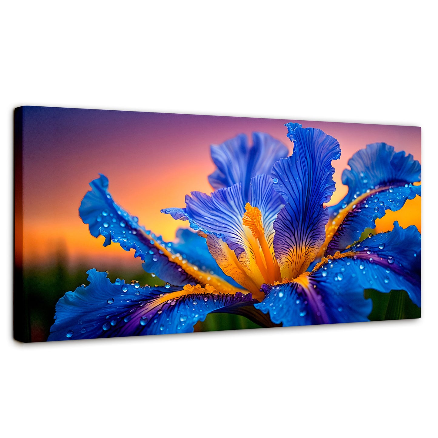 Cuadros Decorativos Canvas Revolution | Flor Iris Divino | Panoramico | Portada | Marco SinMarco