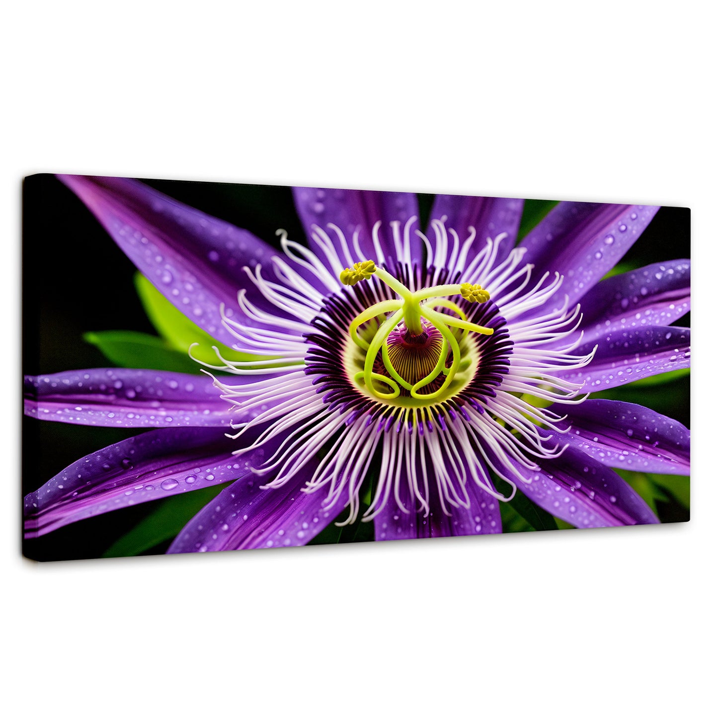 Cuadros Decorativos Canvas Revolution | Flor Pasion Eterna | Panoramico | Portada | Marco SinMarco