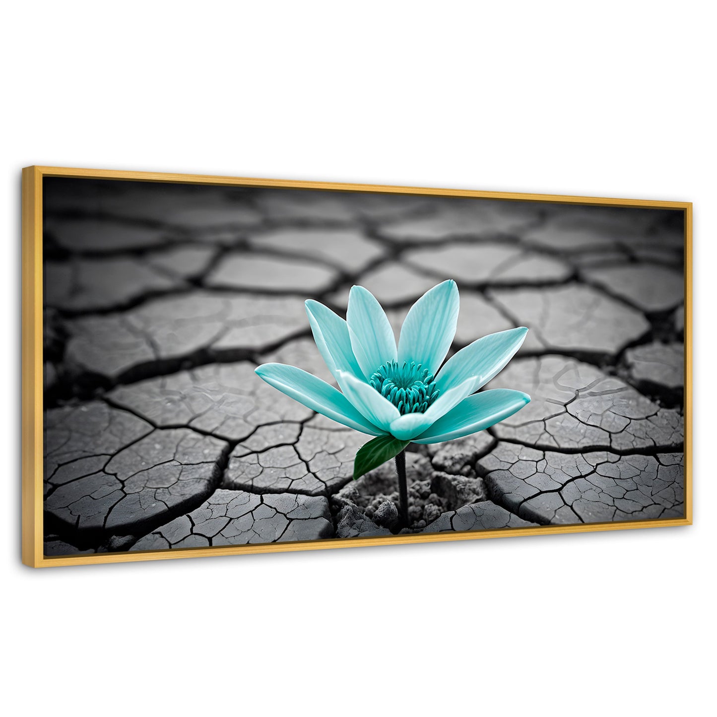 Cuadros Decorativos Canvas Revolution | Flor Sobre Piedra | Panoramico | Portada | Marco Madera