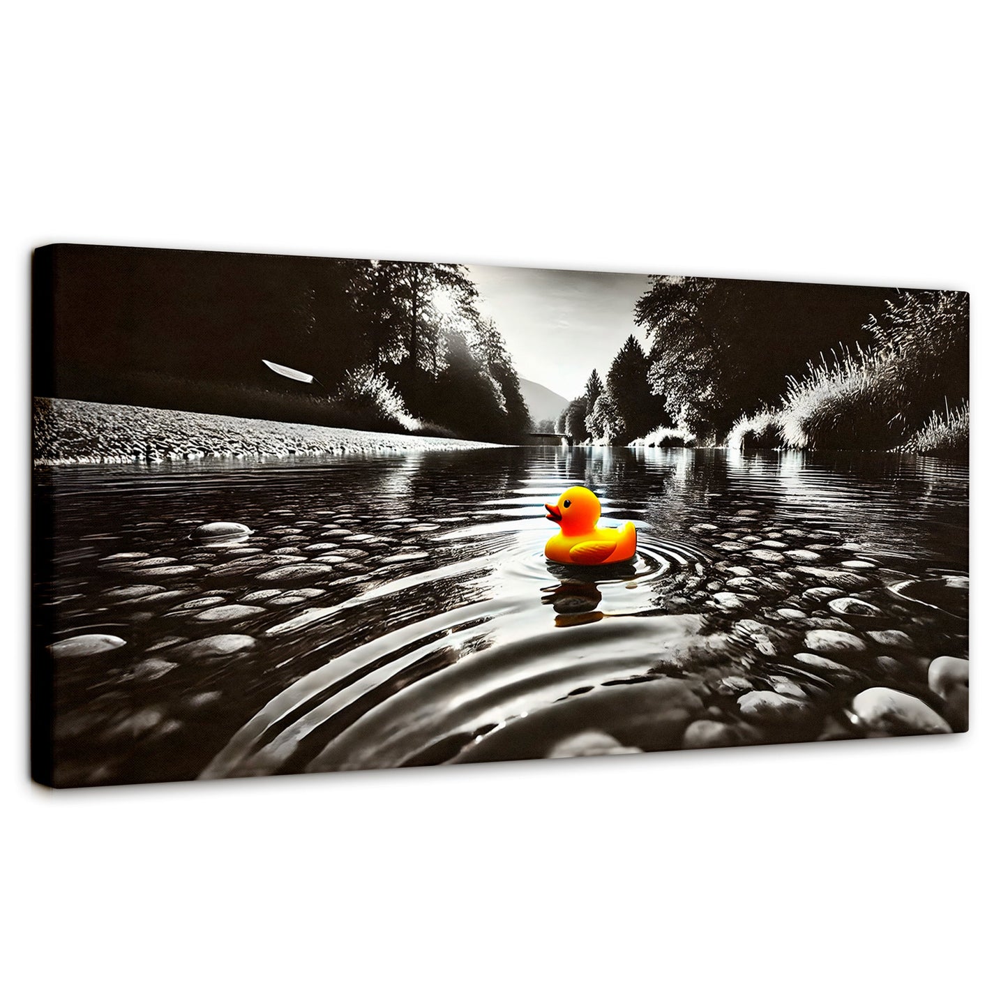 Cuadros Decorativos Canvas Revolution | Flotando Solo | Panoramico | Portada | Marco SinMarco