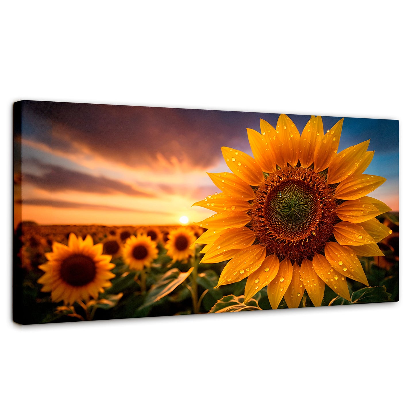 Cuadros Decorativos Canvas Revolution | Girasol Atardecer | Panoramico | Portada | Marco SinMarco