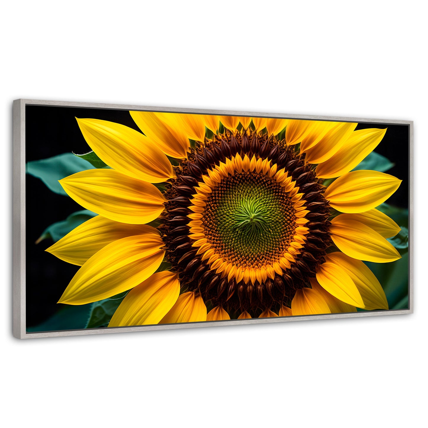 Cuadros Decorativos Canvas Revolution | Girasol Cercano | Panoramico | Portada | Marco Plateado