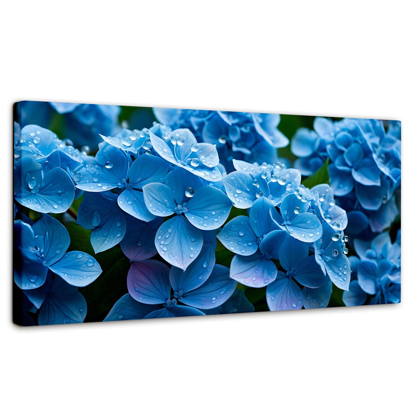 Cuadros Decorativos Canvas Revolution | Hortensia Azulada | Panoramico | Portada | Marco SinMarco