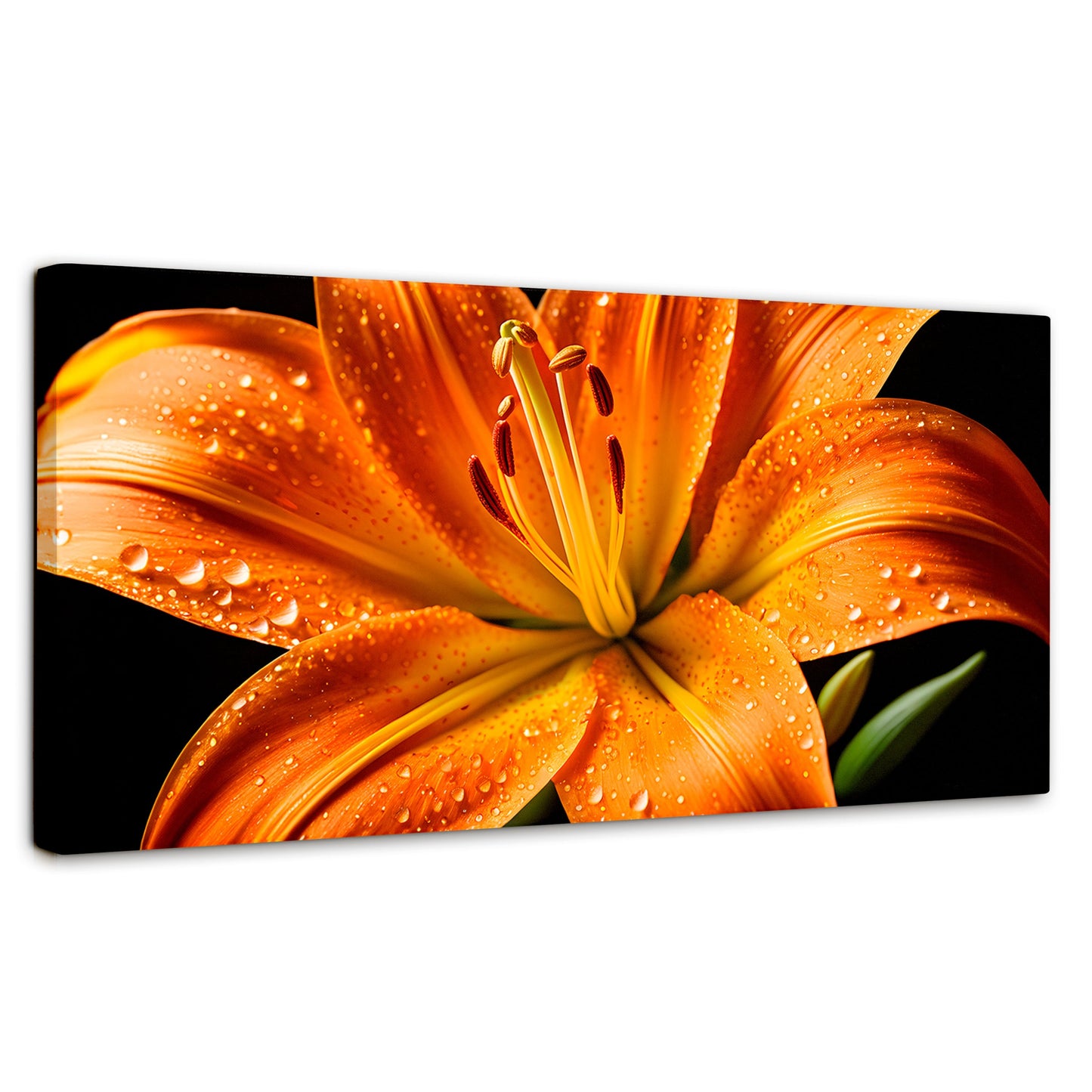 Cuadros Decorativos Canvas Revolution | Llama Lirio Macro | Panoramico | Portada | Marco SinMarco