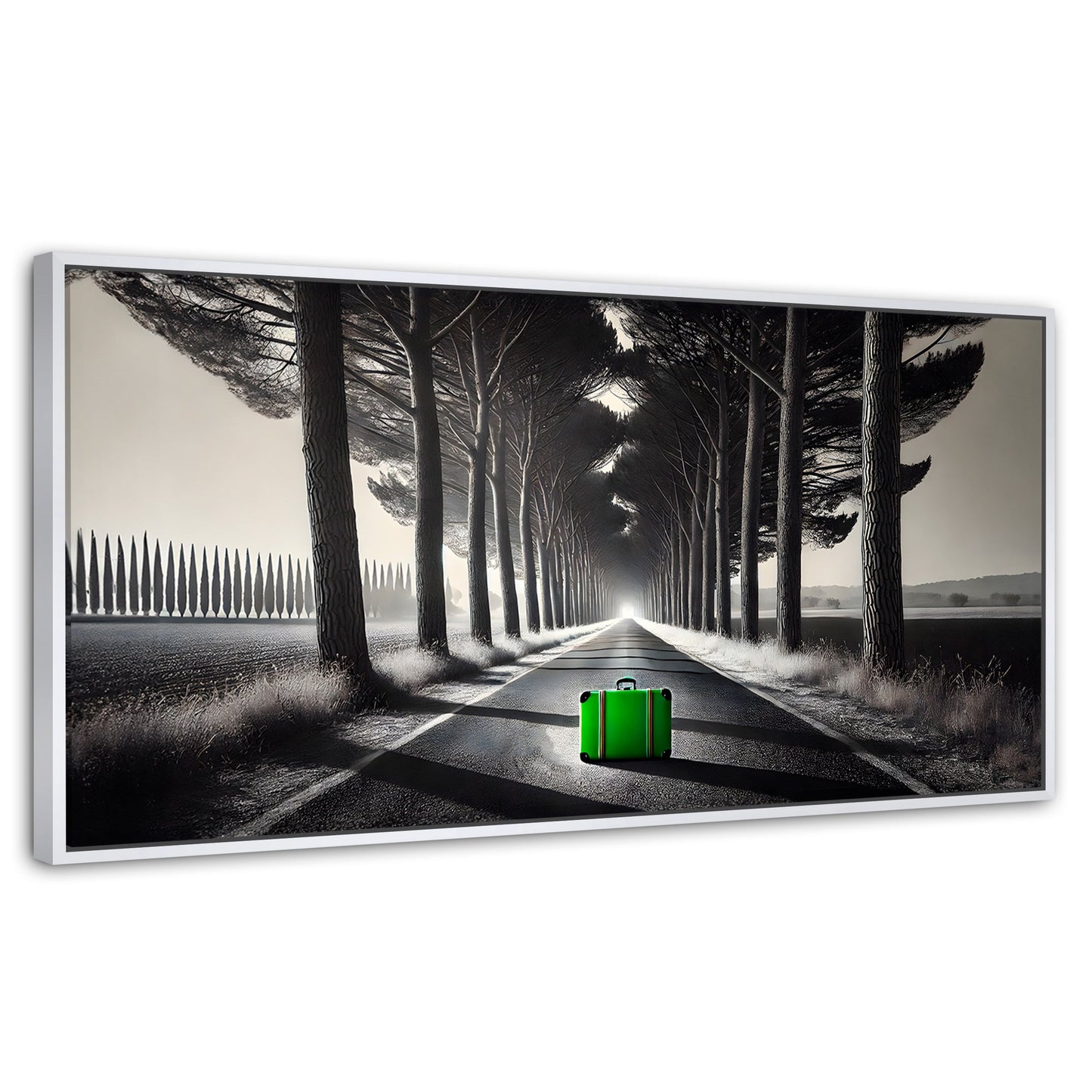 Cuadros Decorativos Canvas Revolution | Maleta Solitaria | Panoramico | Portada | Marco Dorado