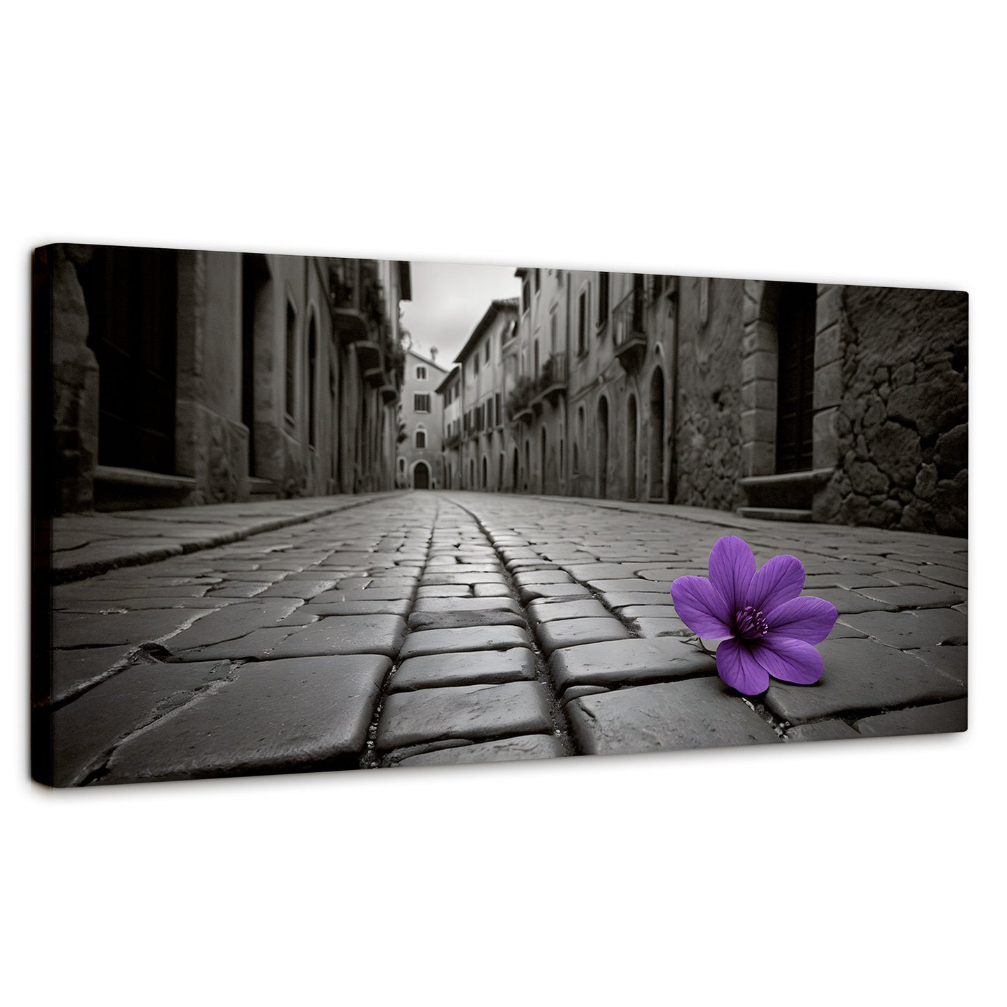 Cuadros Decorativos Canvas Revolution | Morado Callejero | Panoramico | Portada | Marco SinMarco