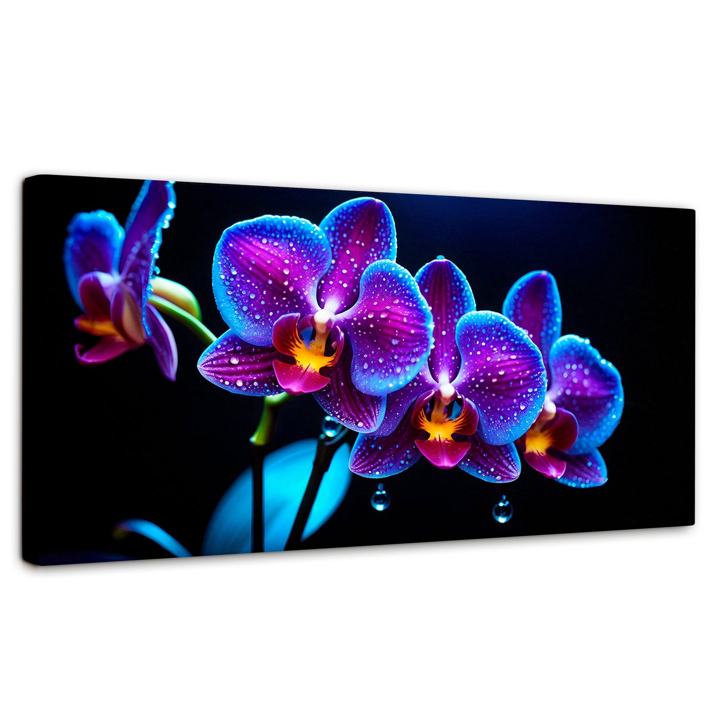 Cuadros Decorativos Canvas Revolution | Orquidea Destello | Panoramico | Portada