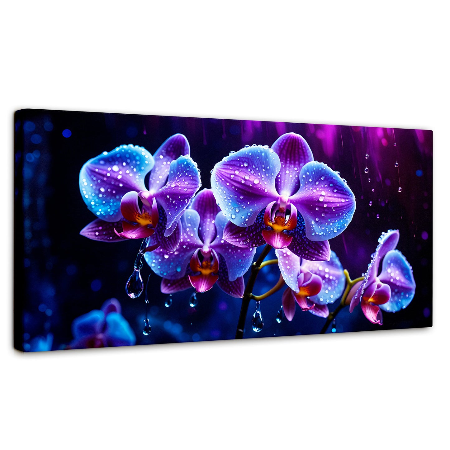 Cuadros Decorativos Canvas Revolution | Orquidea Luz Sutil | Panoramico | Portada