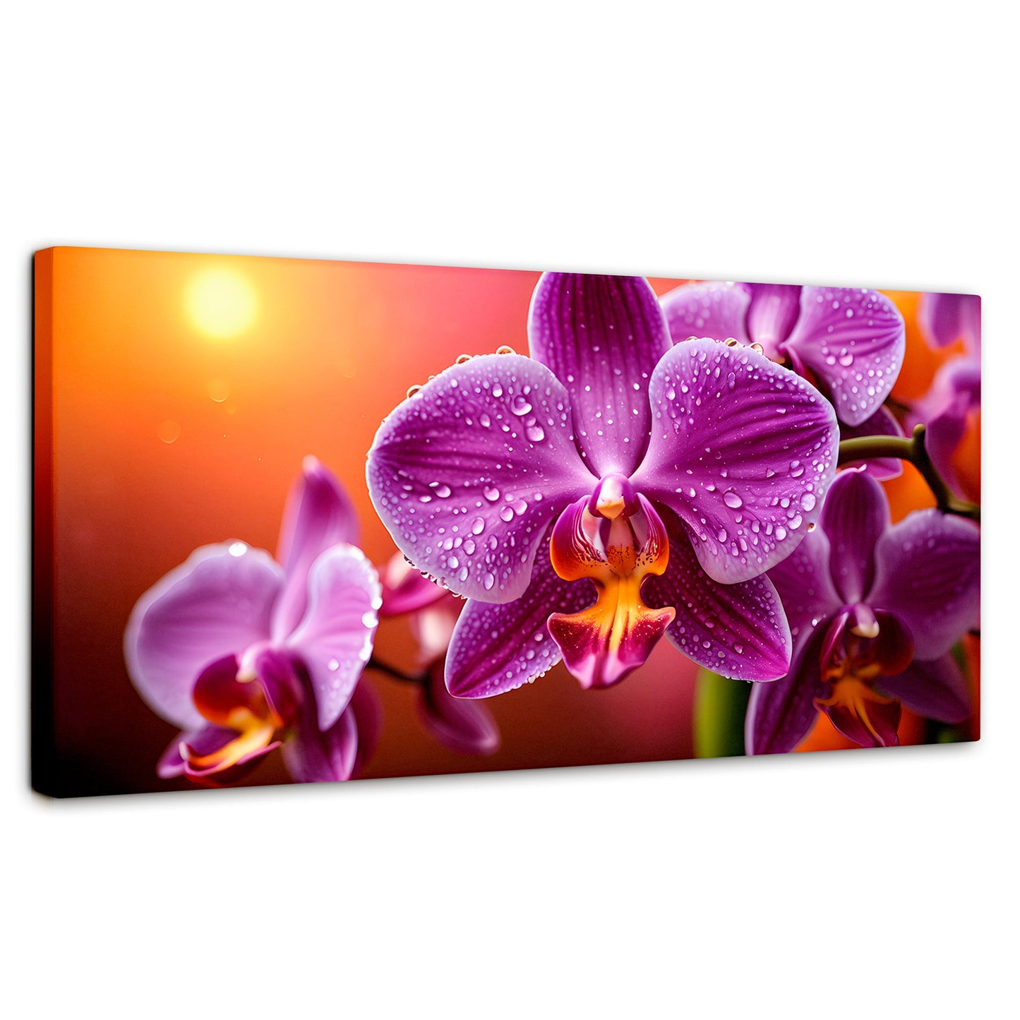 Cuadros Decorativos Canvas Revolution | Orquidea Morada Sol | Panoramico | Portada | Marco SinMarco