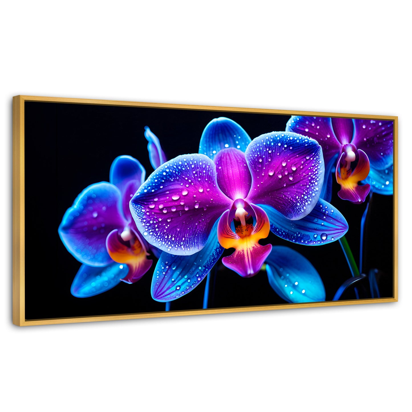Cuadros Decorativos Canvas Revolution | Orquidea Radiante | Panoramico | Portada