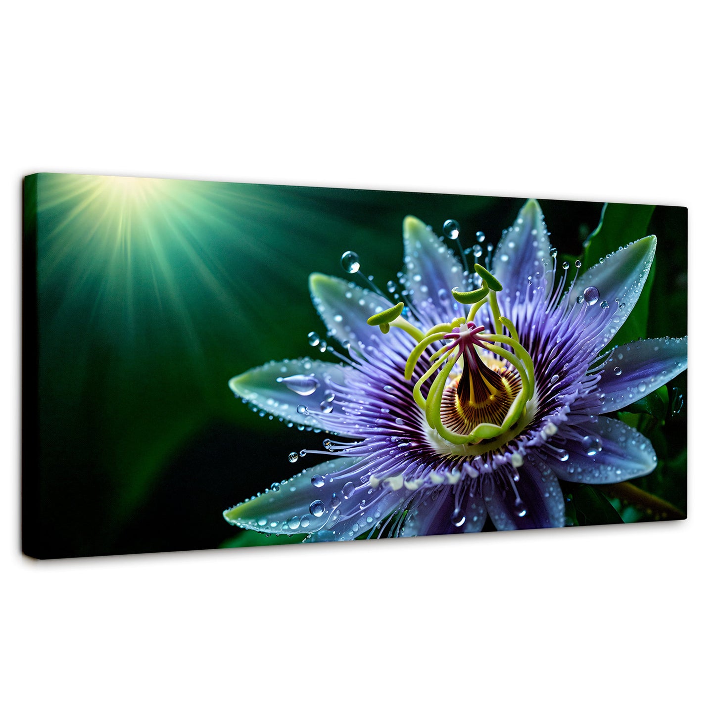 Cuadros Decorativos Canvas Revolution | Pasion Flor Eterna | Panoramico | Portada