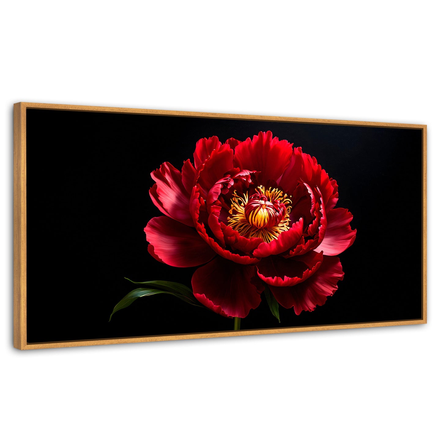Cuadros Decorativos Canvas Revolution | Peonia De Noche | Panoramico | Portada | Marco Madera