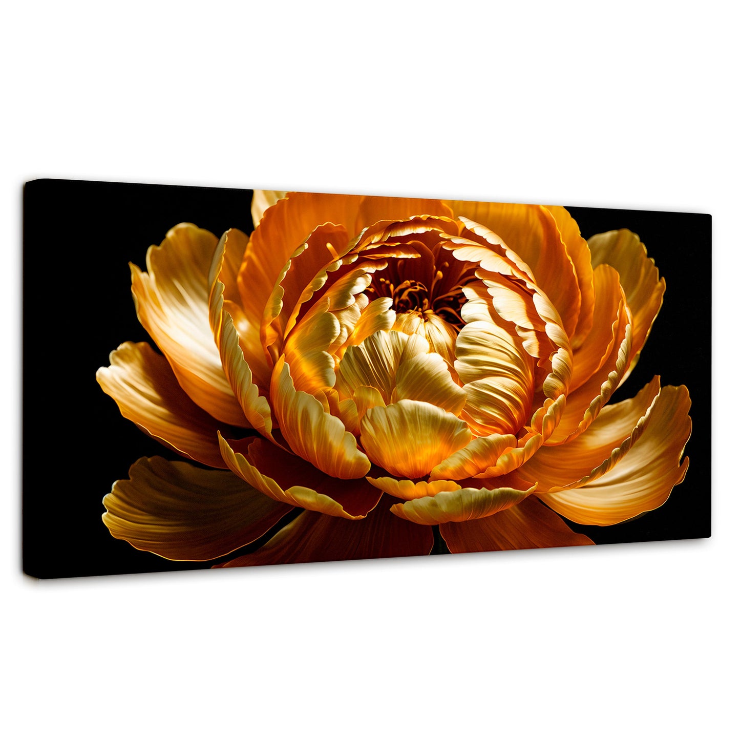 Cuadros Decorativos Canvas Revolution | Peonia Dorada Flor | Panoramico | Portada | Marco SinMarco