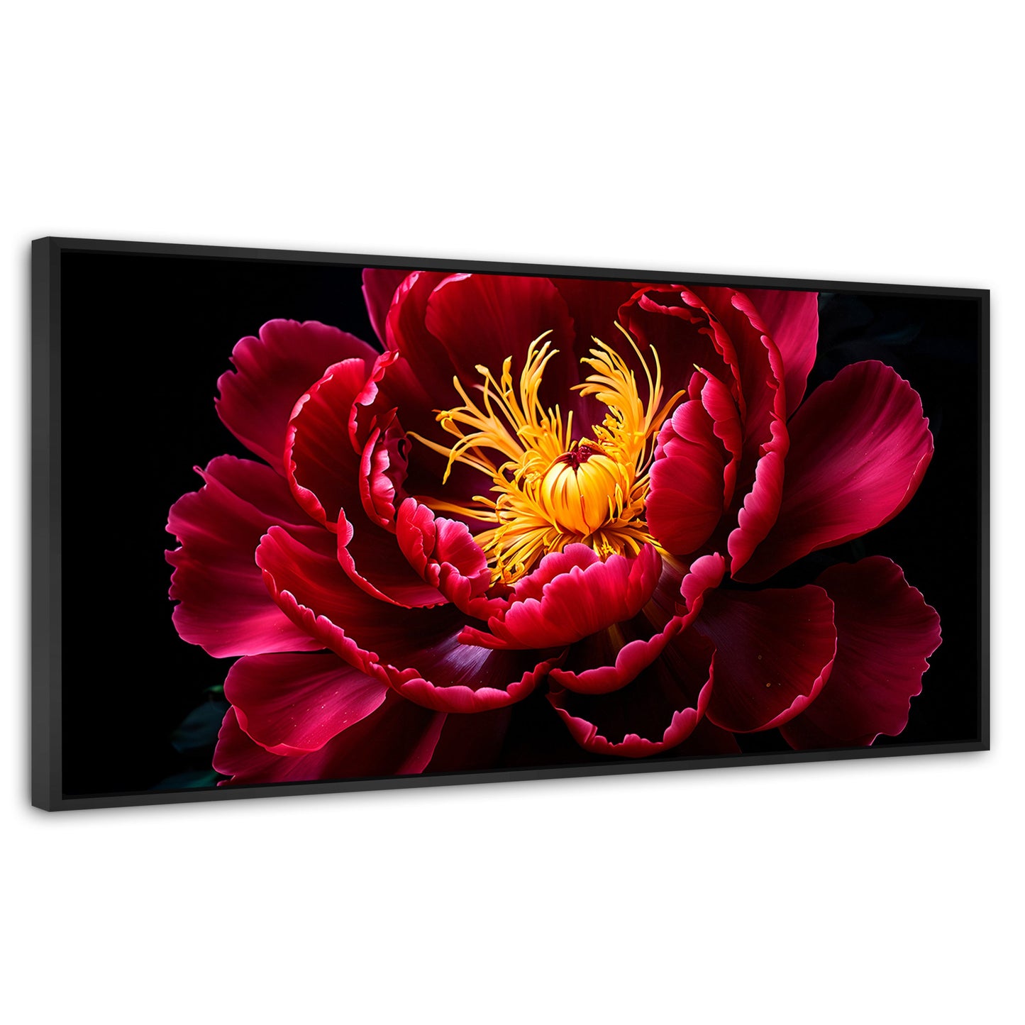 Cuadros Decorativos Canvas Revolution | Peonia Dualidad | Panoramico | Portada | Marco Negro