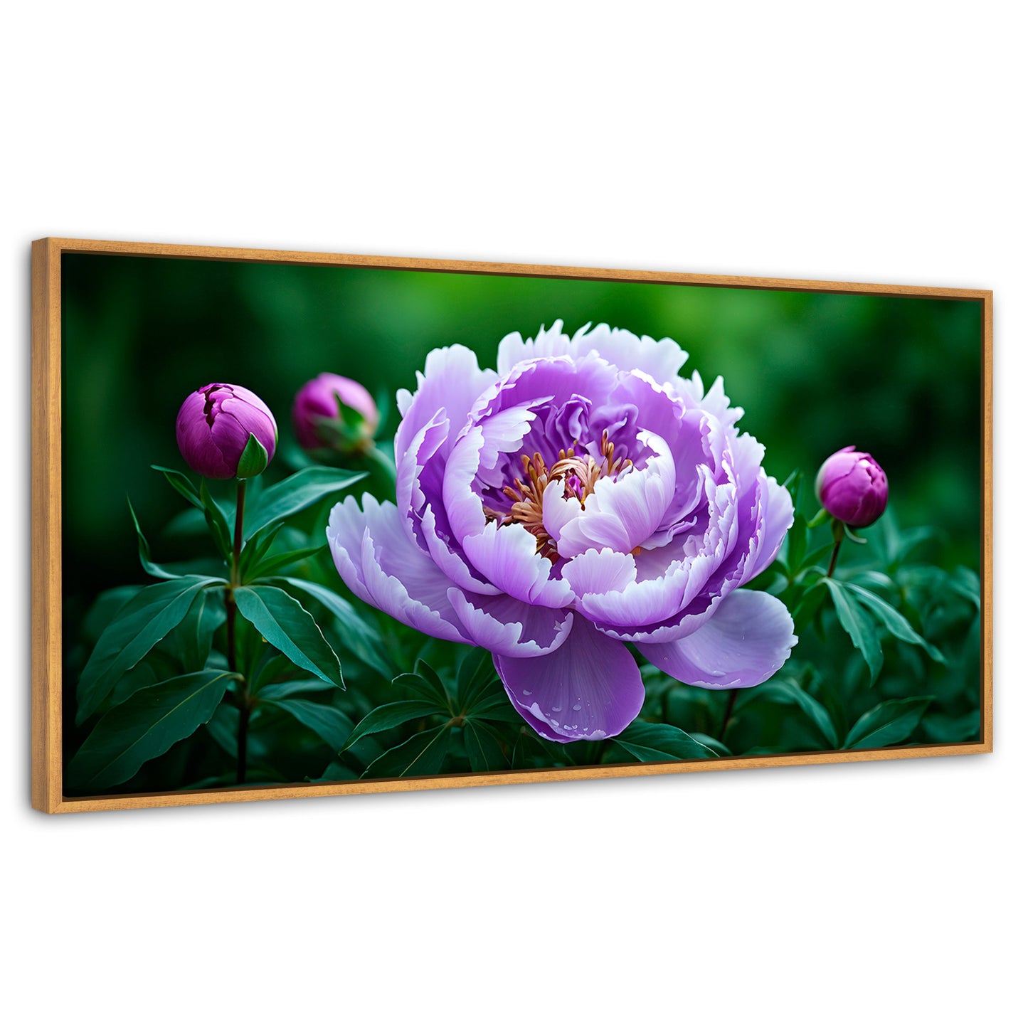 Cuadros Decorativos Canvas Revolution | Peonia Morada Viva | Panoramico | Portada | Marco Madera