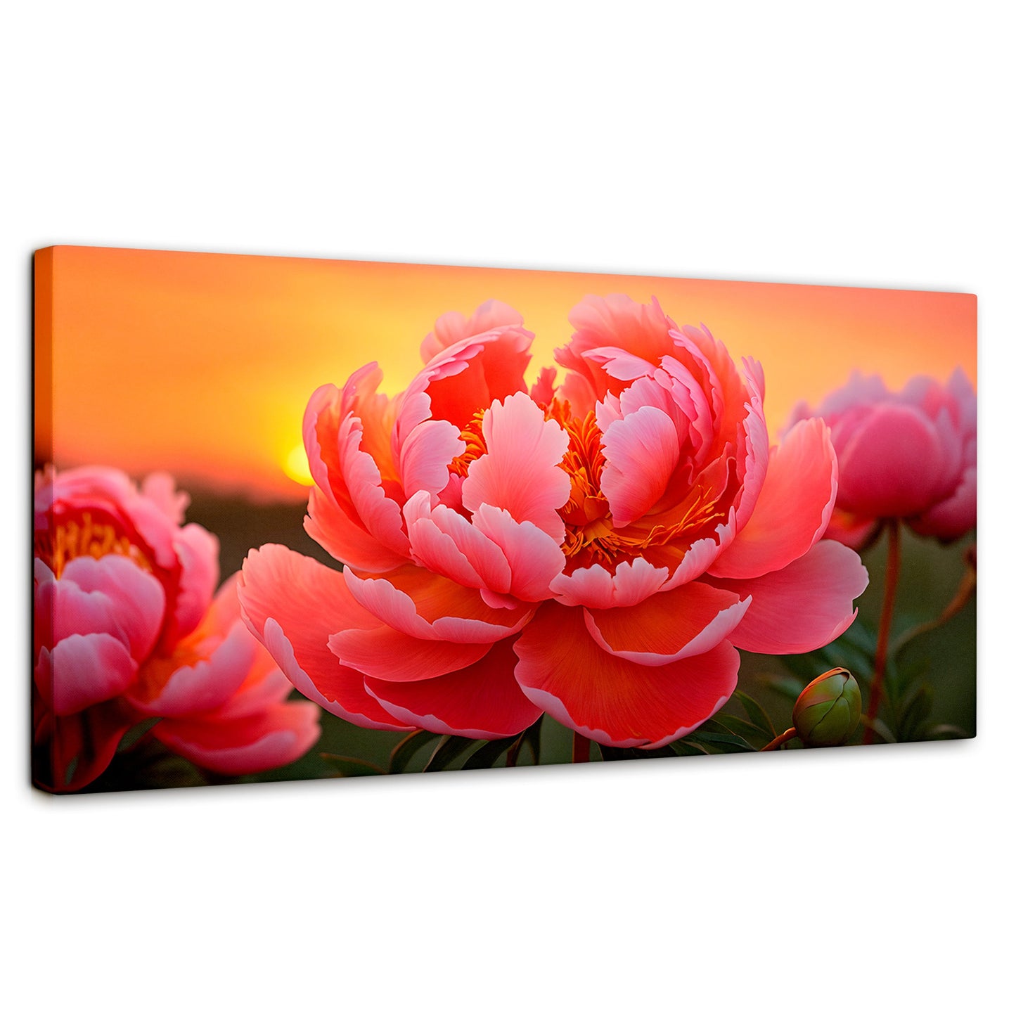 Cuadros Decorativos Canvas Revolution | Peonia Rosa Eterno | Panoramico | Portada | Marco SinMarco