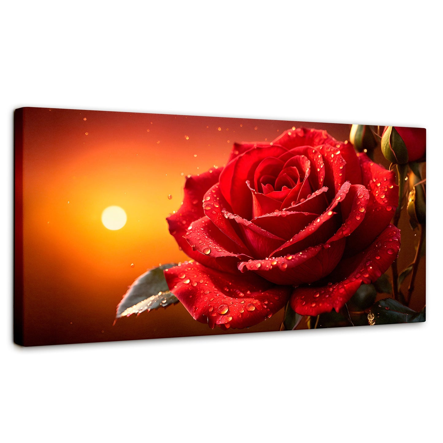 Cuadros Decorativos Canvas Revolution | Rosa Escarlata Viva | Panoramico | Portada | Marco SinMarco