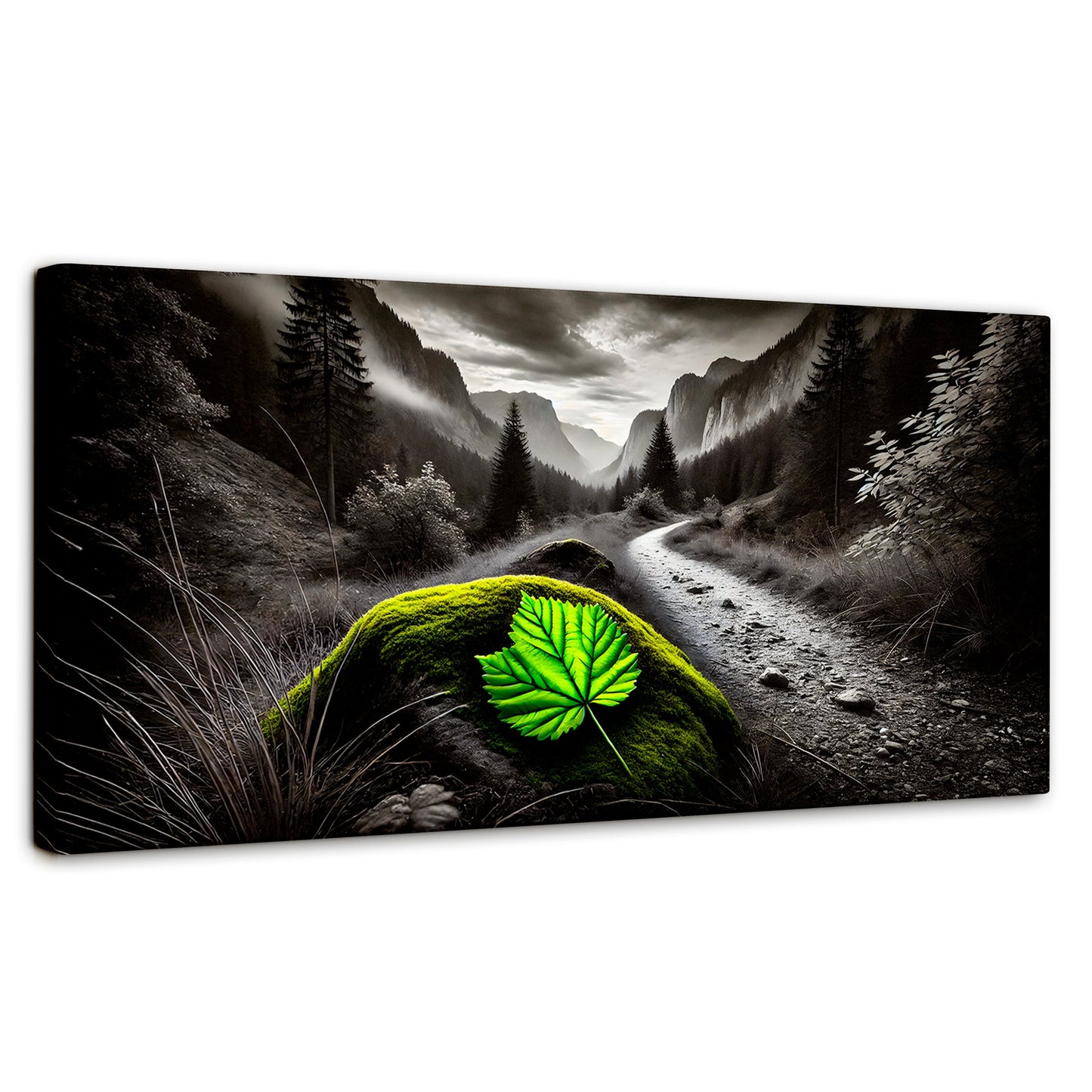 Cuadros Decorativos Canvas Revolution | Verde Silencio | Panoramico | Portada | Marco SinMarco