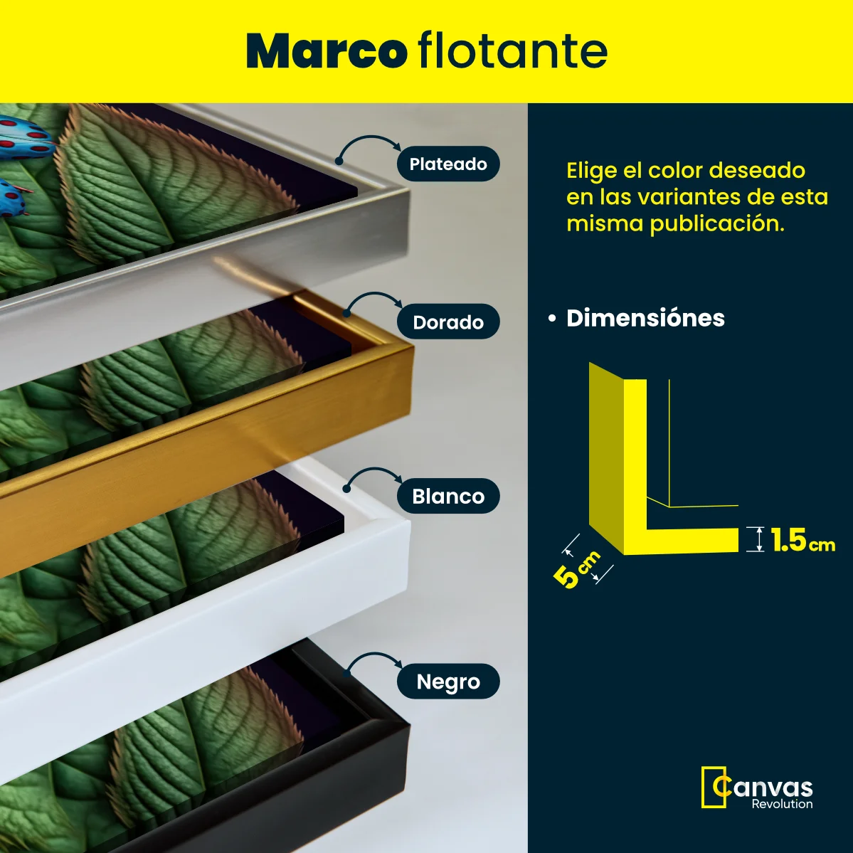 Mariquitas de Colores